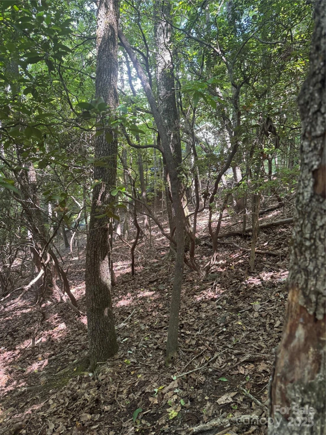 000 Wild Cherry Drive #187 - Photo 4