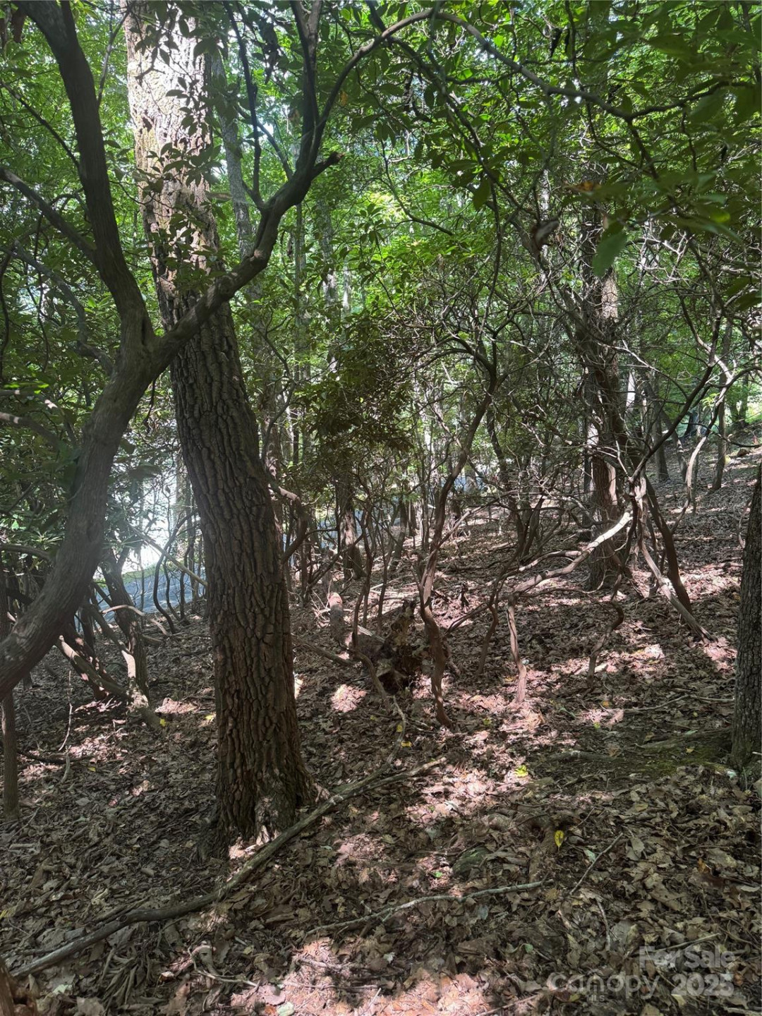 000 Wild Cherry Drive #187 - Photo 5