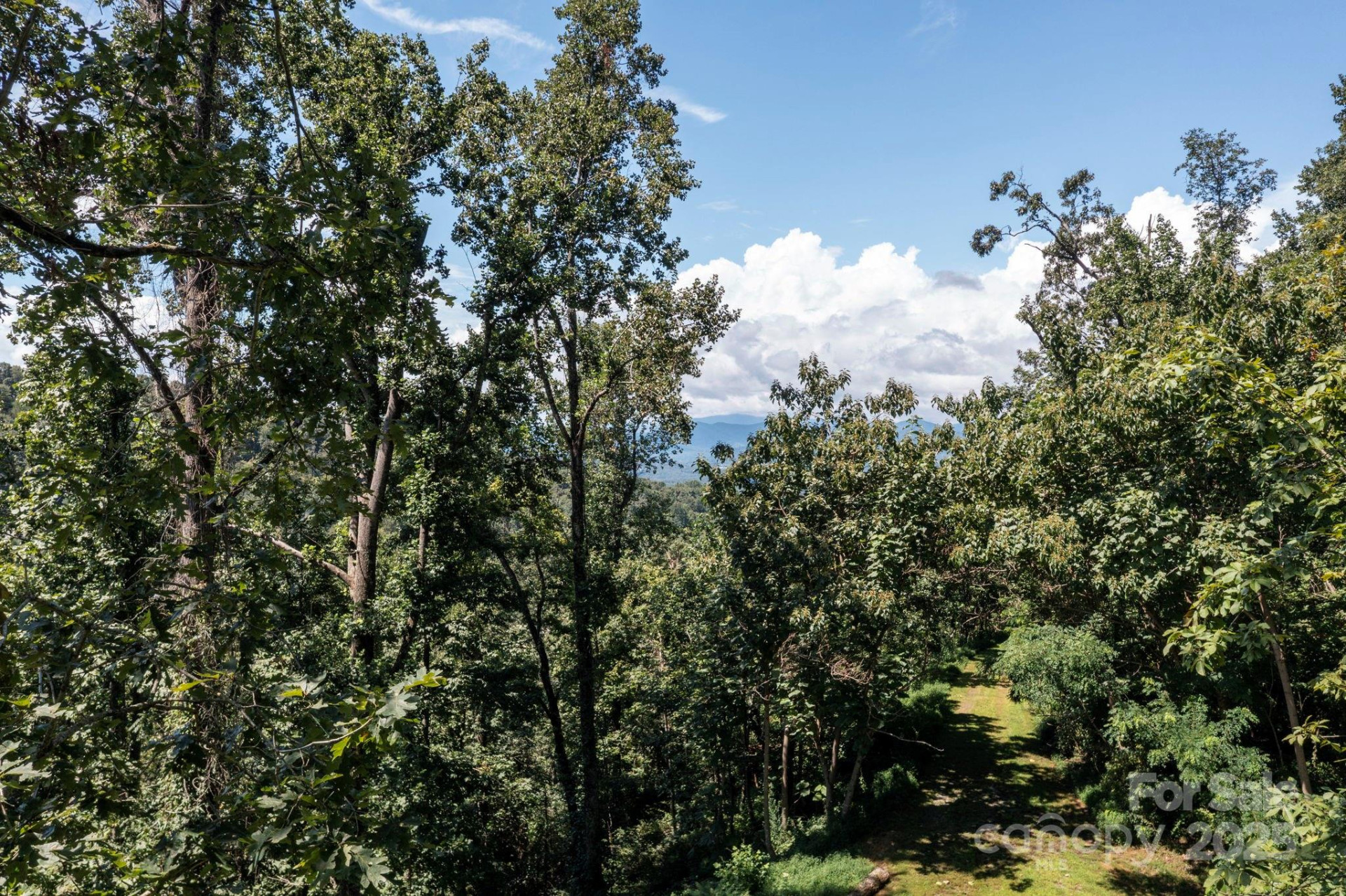 44 Giffords Lane #17 - Photo 13