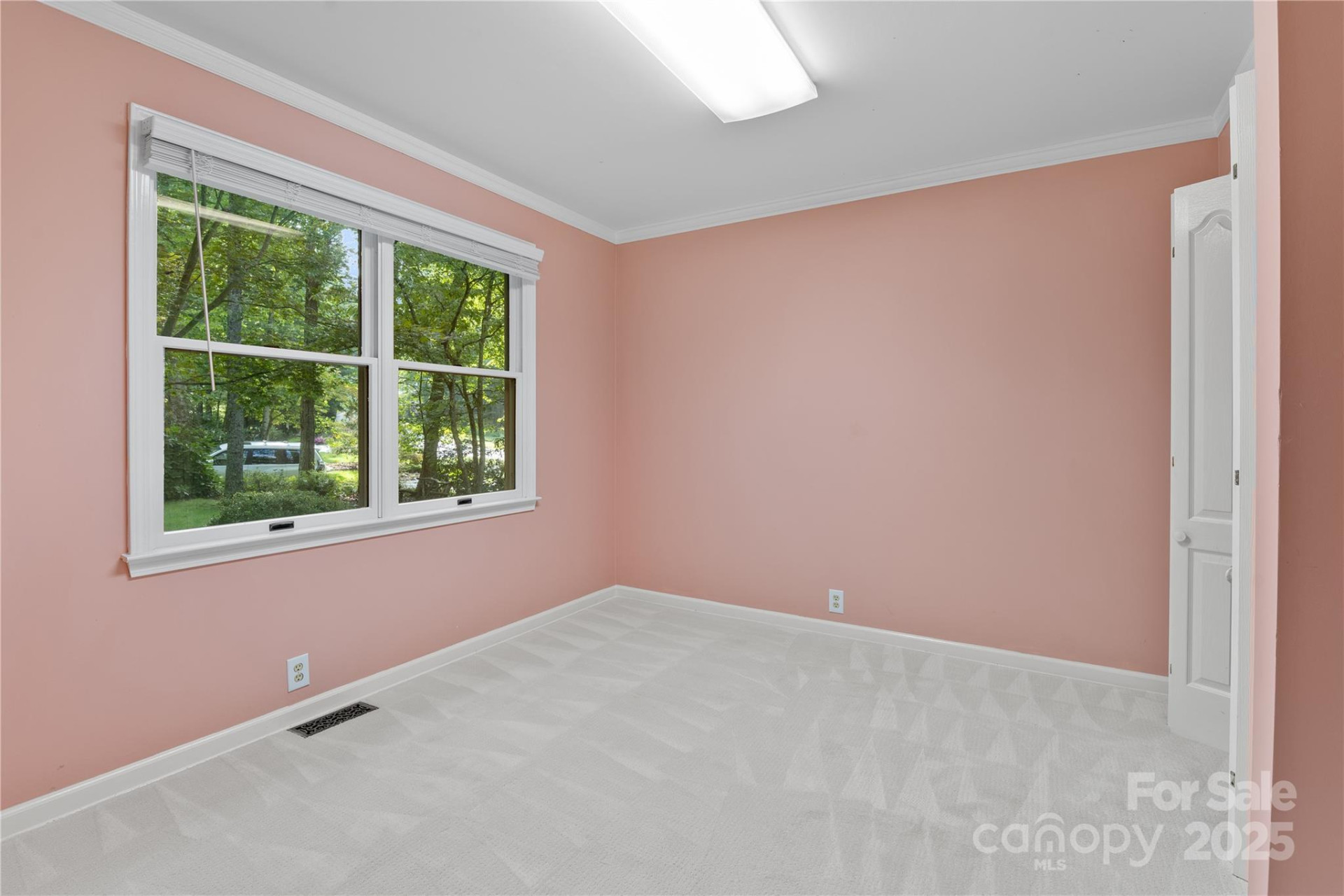 131 Jenny Lind Drive - Photo 13