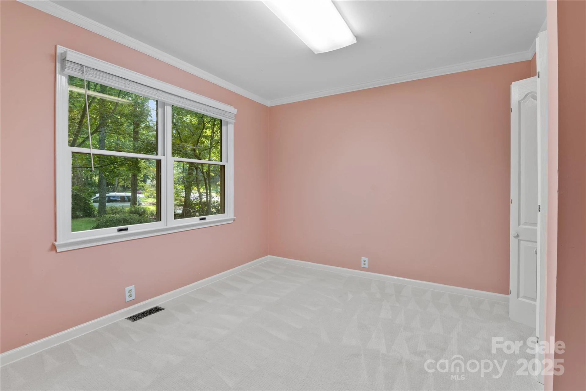 131 Jenny Lind Drive - Photo 13