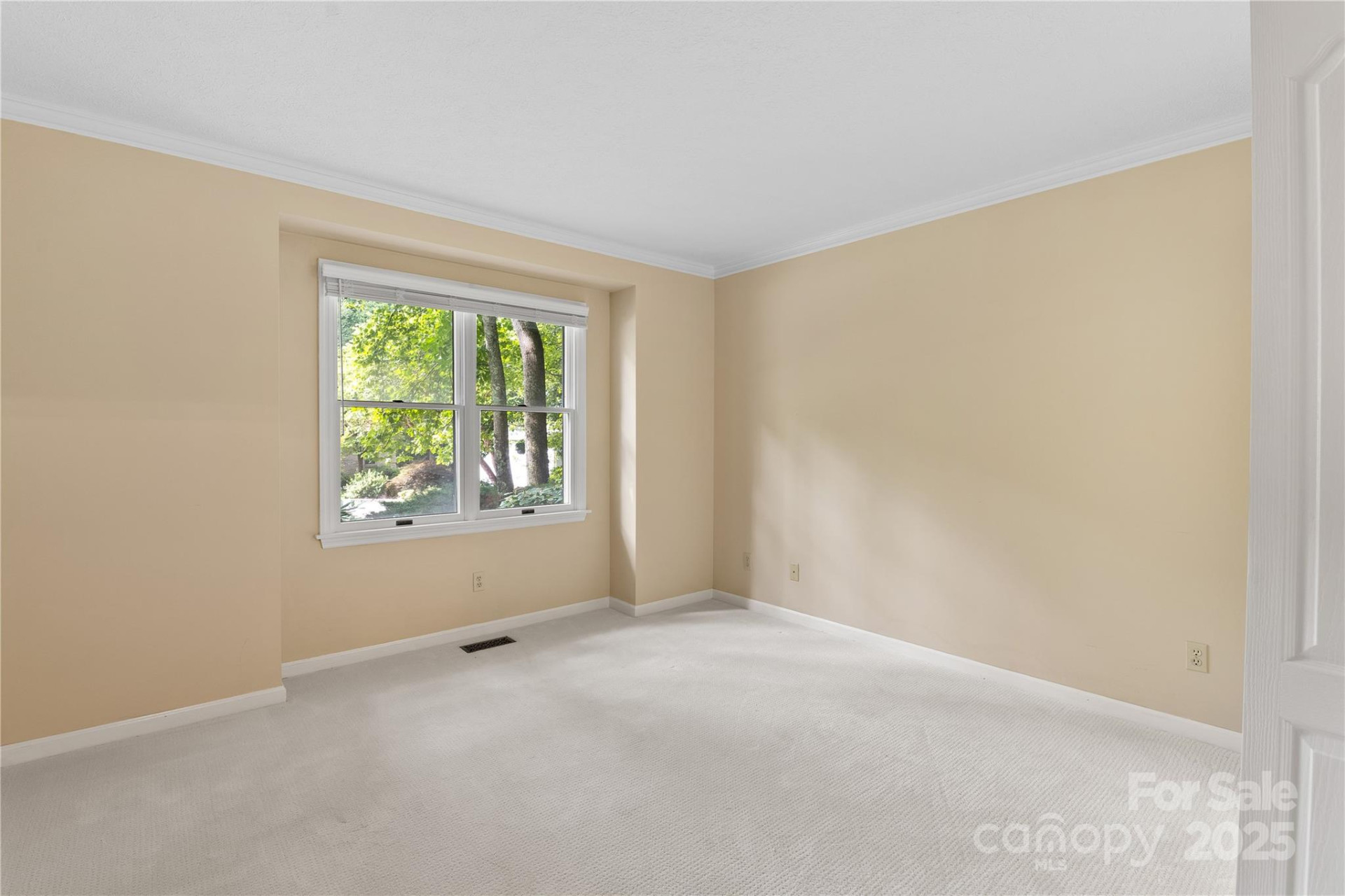 131 Jenny Lind Drive - Photo 18