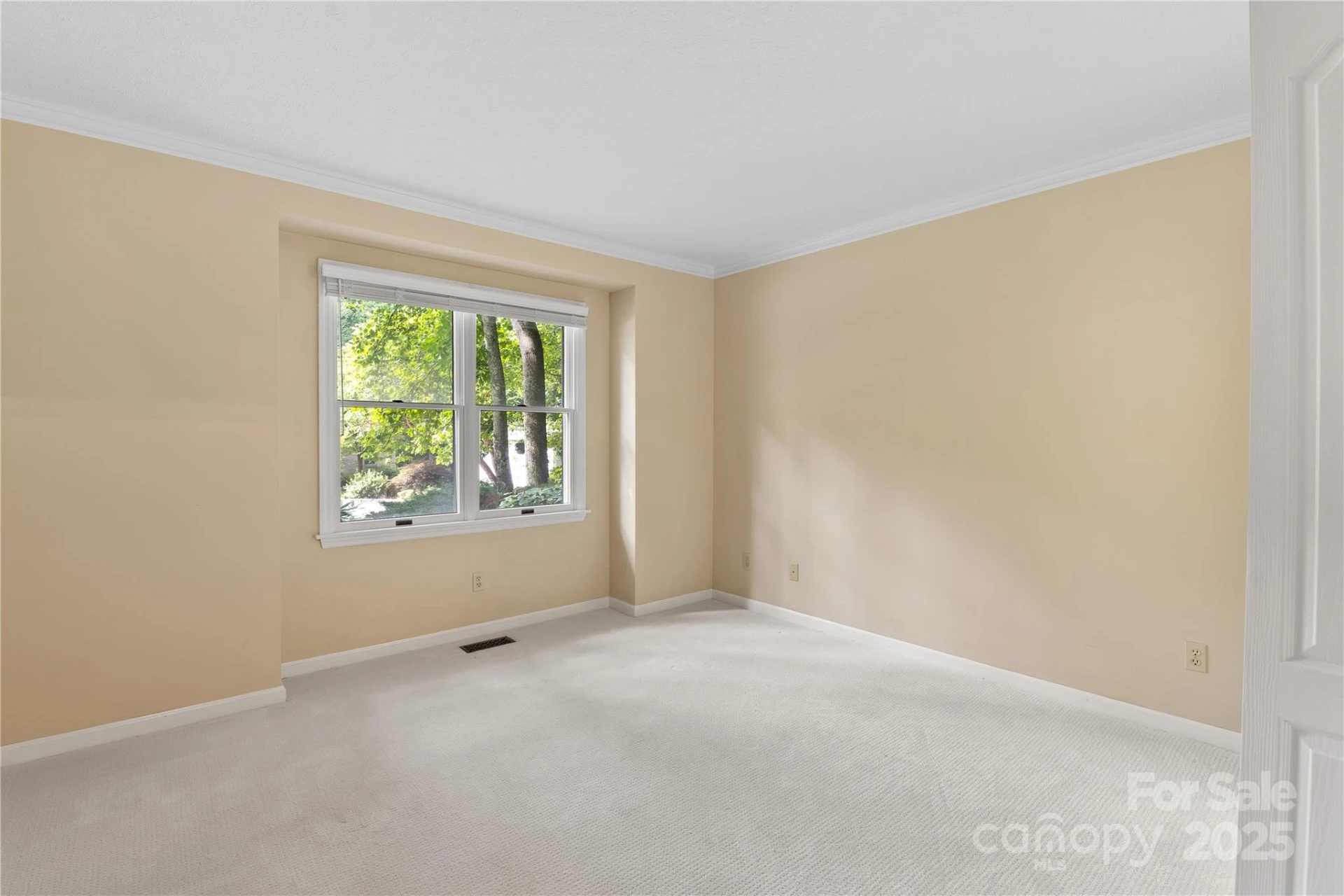 131 Jenny Lind Drive - Photo 18