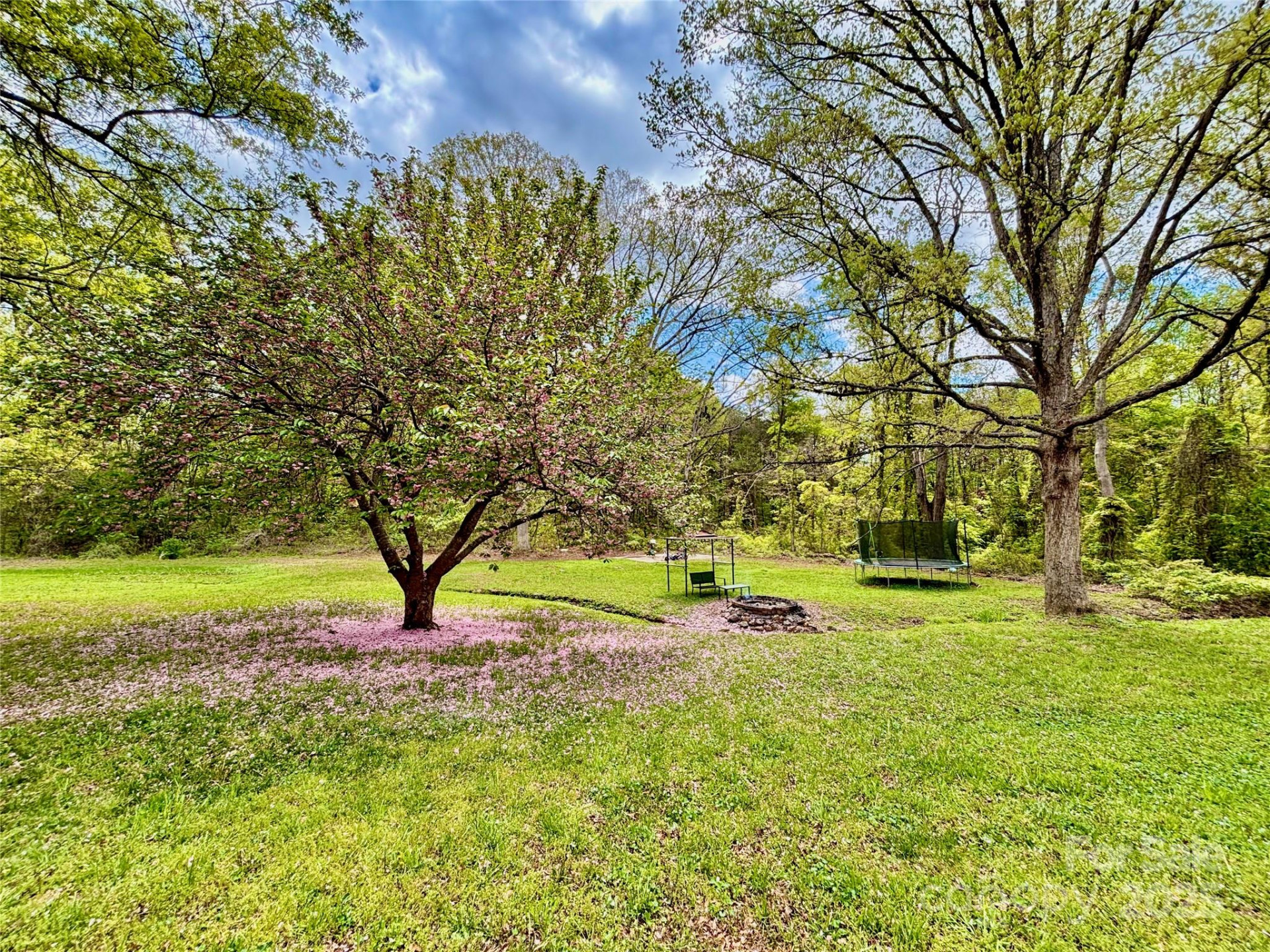 1180 Piney Ridge Road - Photo 6