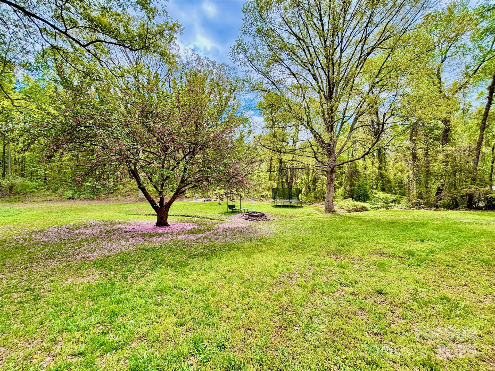 1180 Piney Ridge Road - Photo 7