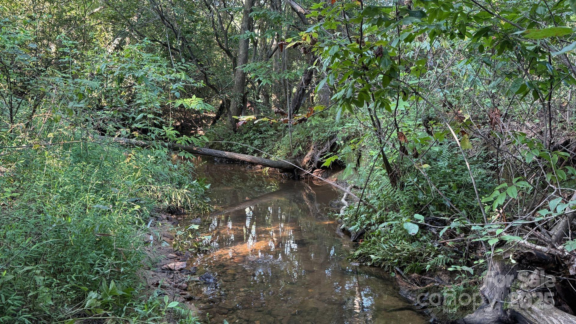 00 Rhoney Road - Photo 2