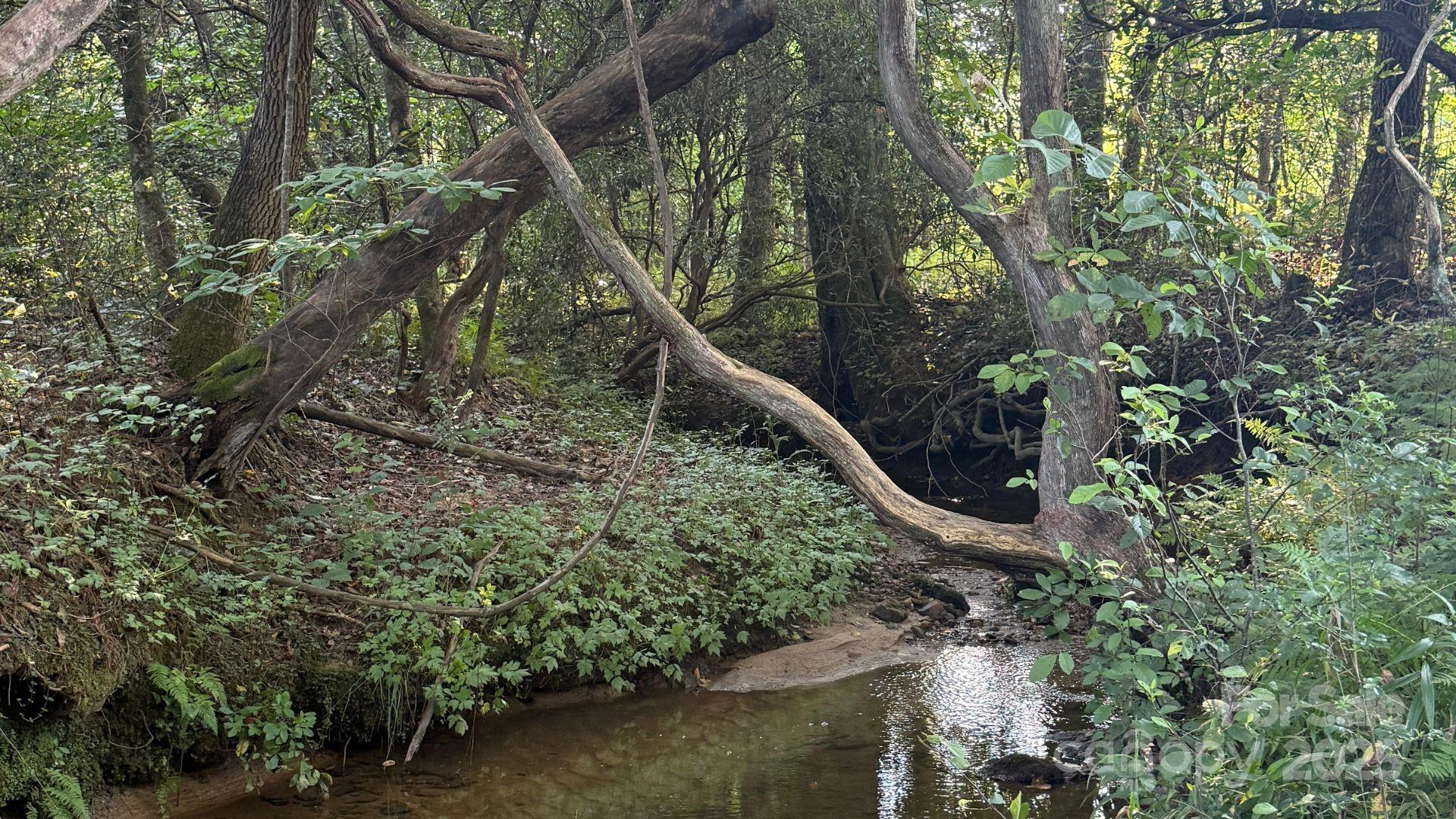 00 Rhoney Road - Photo 3