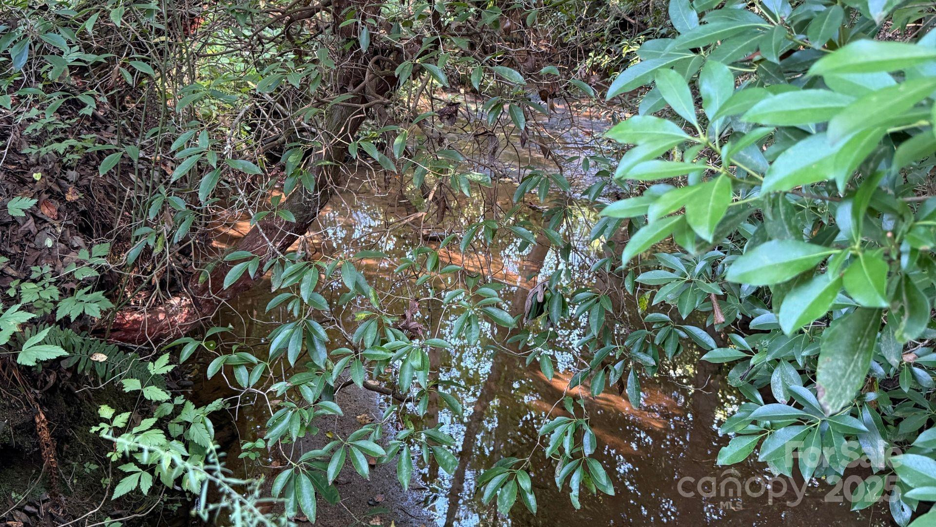 00 Rhoney Road - Photo 4