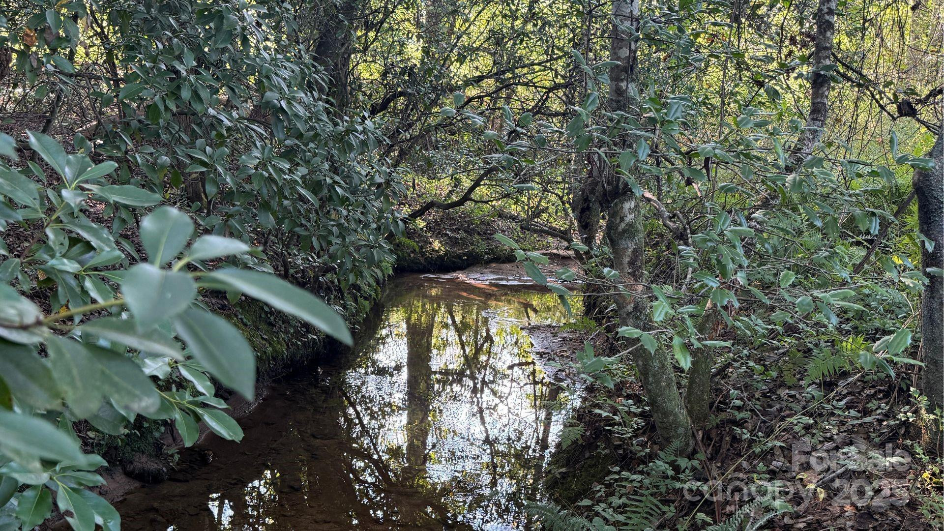 00 Rhoney Road - Photo 5