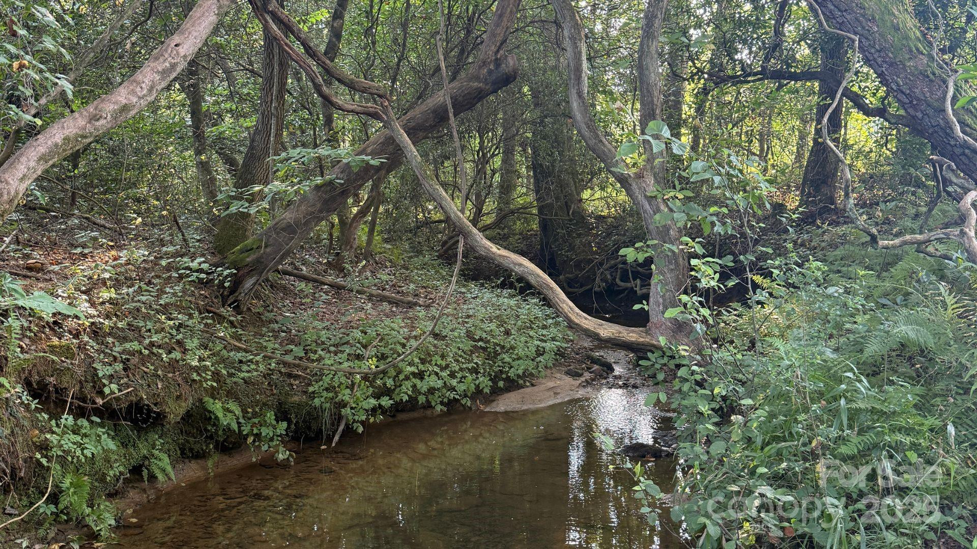 00 Rhoney Road - Photo 6