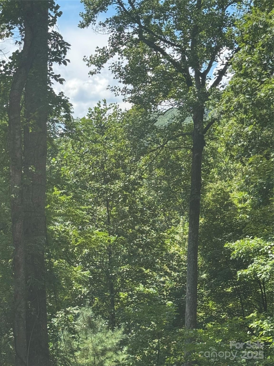 23 Red Oak Drive - Photo 2