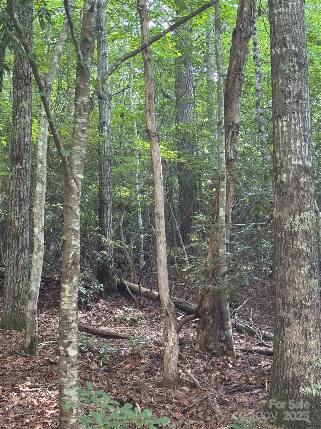 23 Red Oak Drive - Photo 3