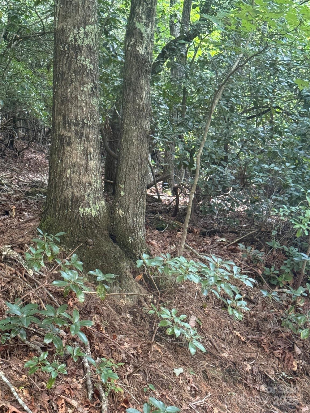 23 Red Oak Drive - Photo 4