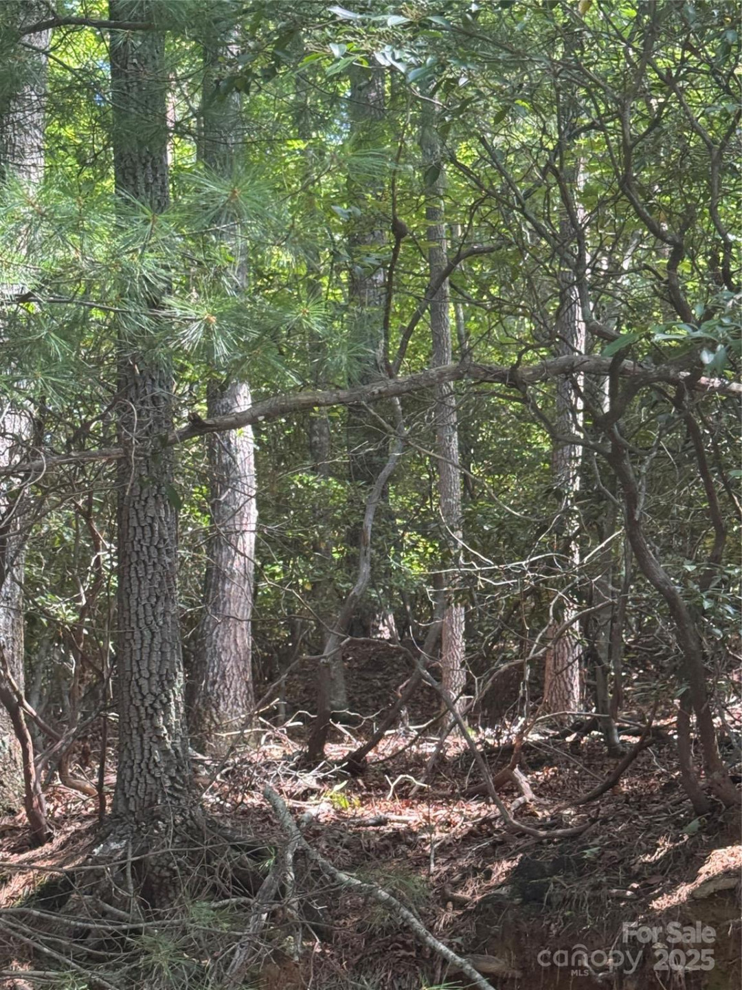 23 Red Oak Drive - Photo 5