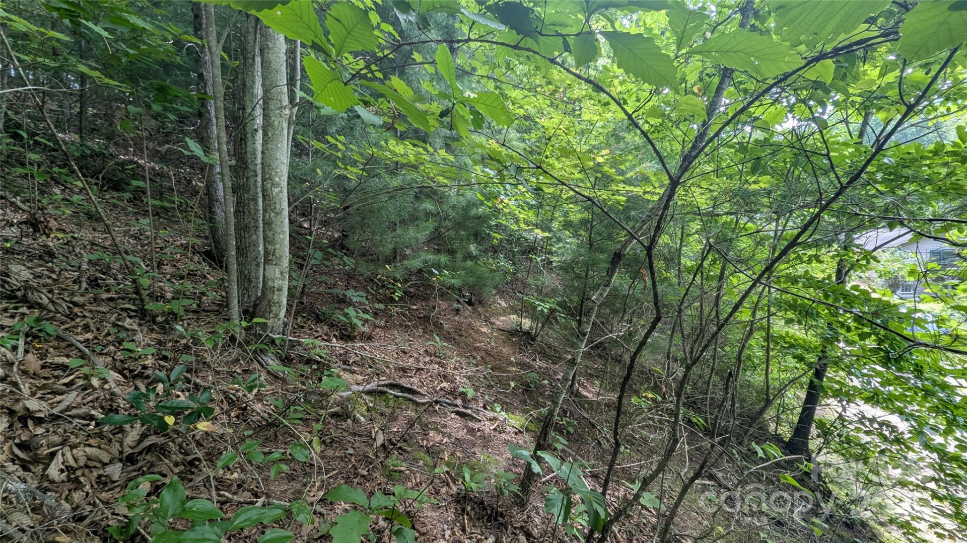 00 Pinewood Drive - Photo 11