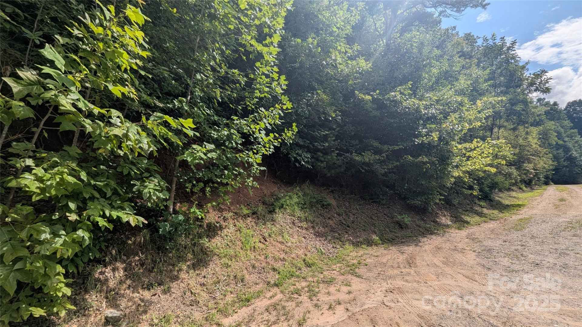 00 Pinewood Drive - Photo 12