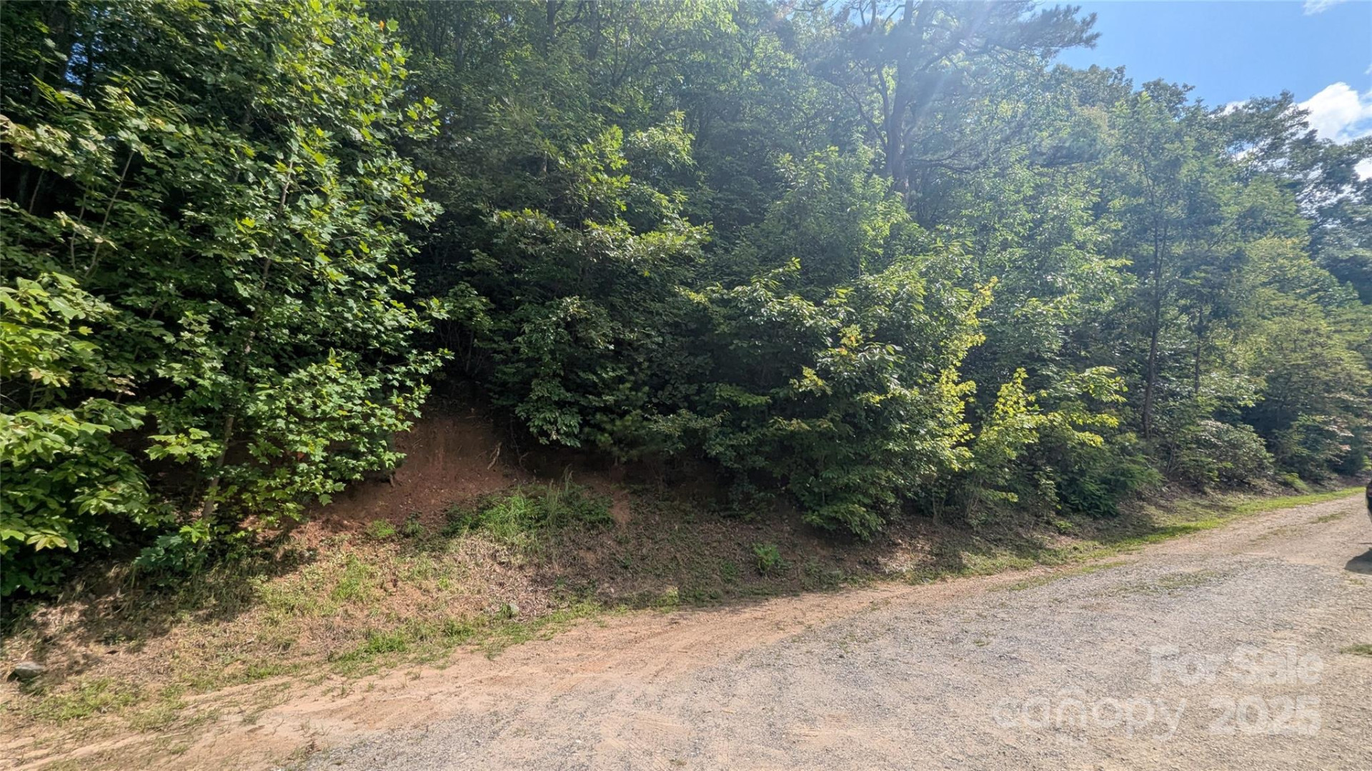 00 Pinewood Drive - Photo 13