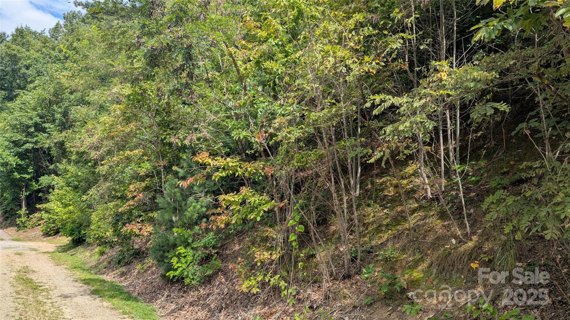 00 Pinewood Drive - Photo 4