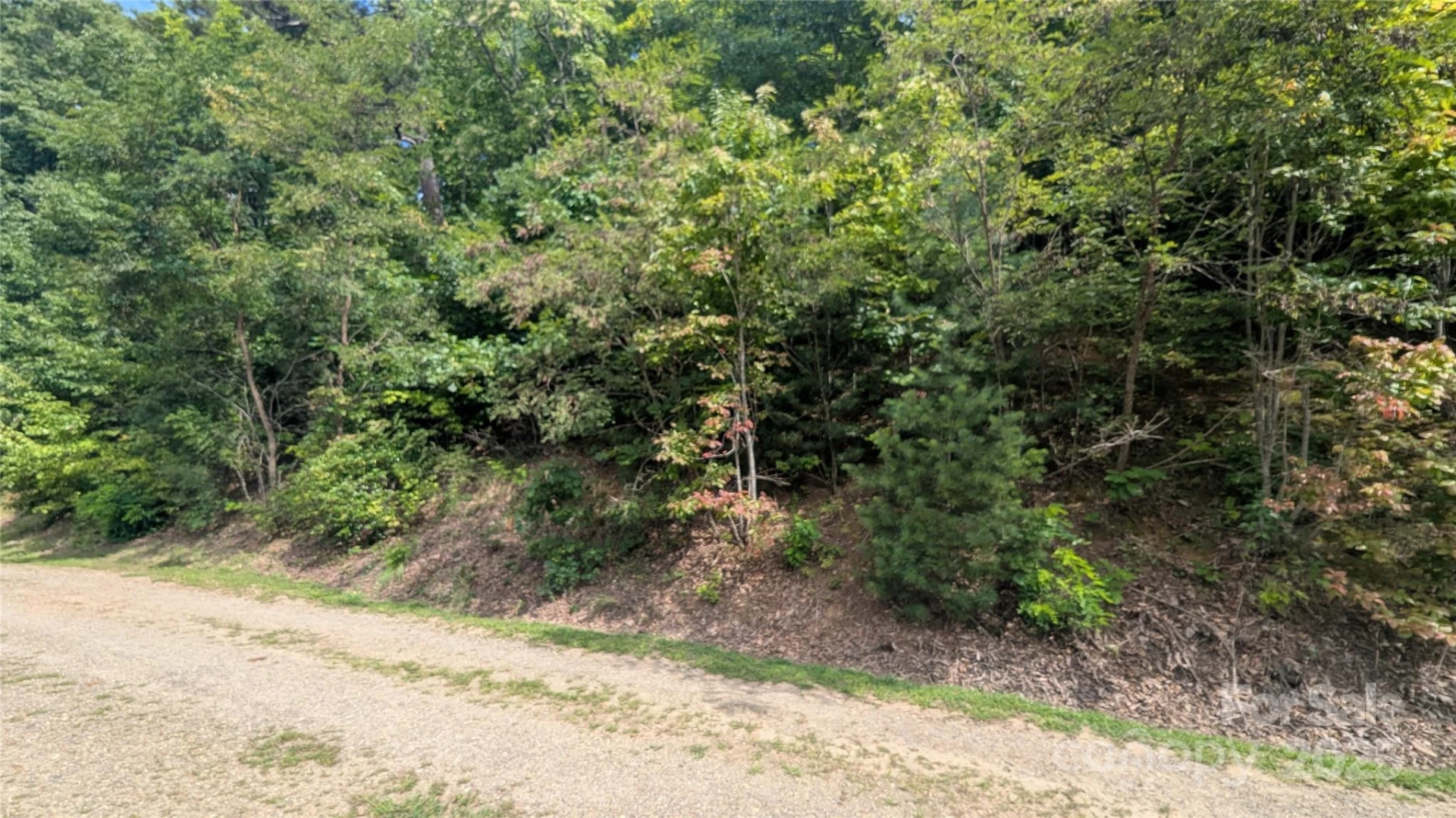 00 Pinewood Drive - Photo 5