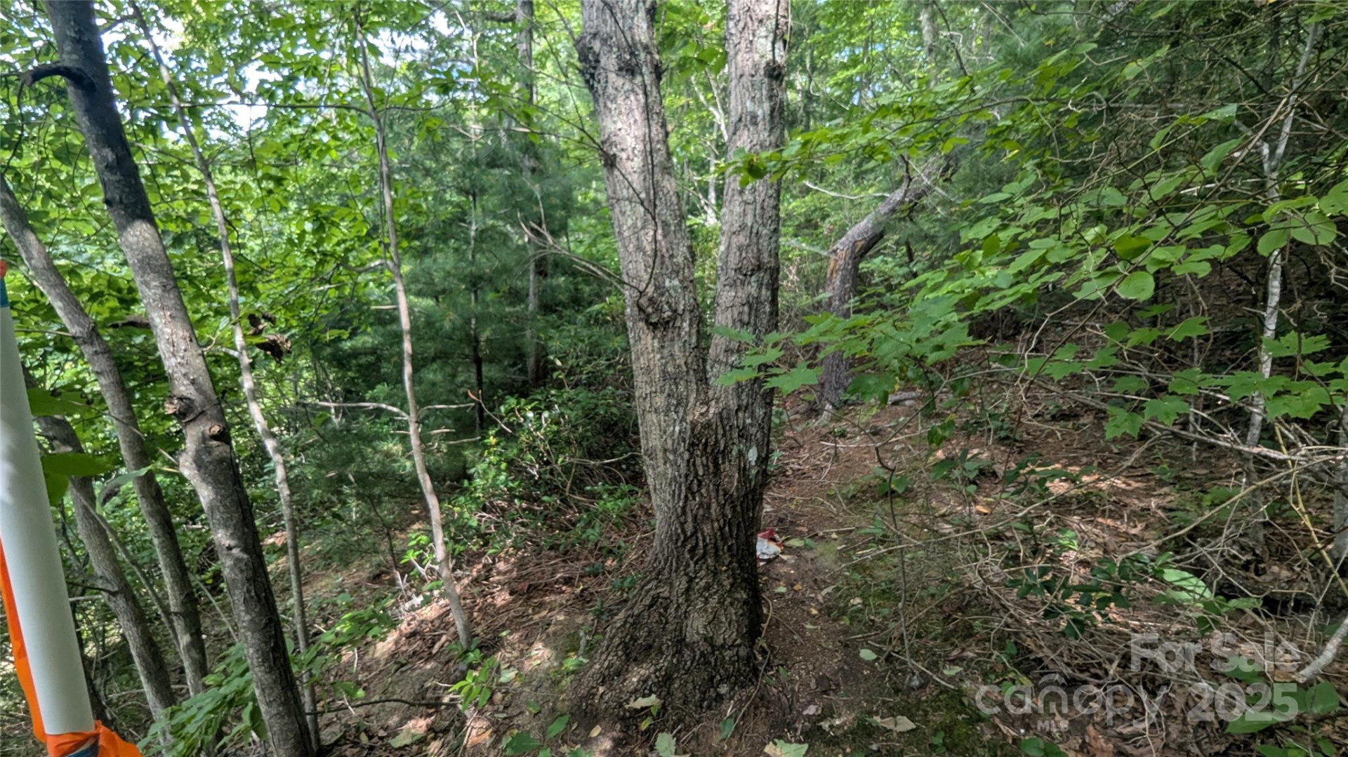 00 Pinewood Drive - Photo 6