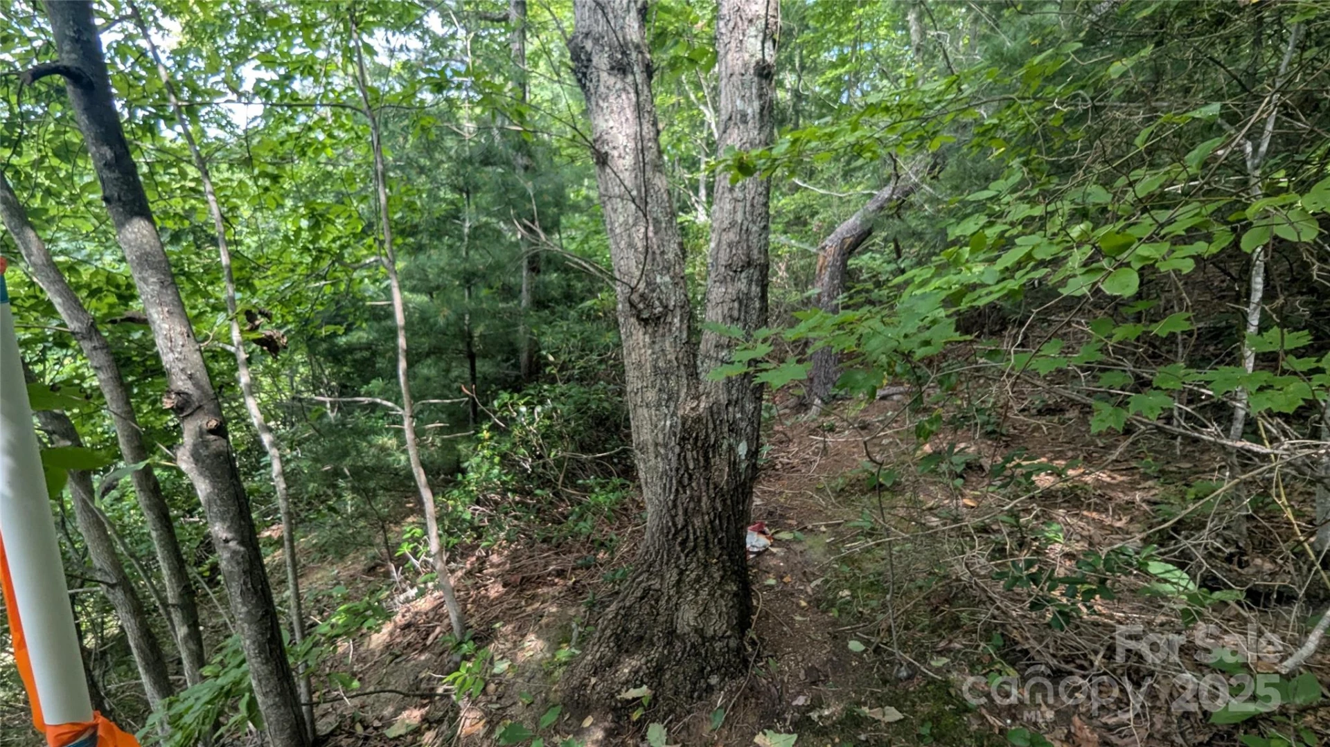00 Pinewood Drive - Photo 6