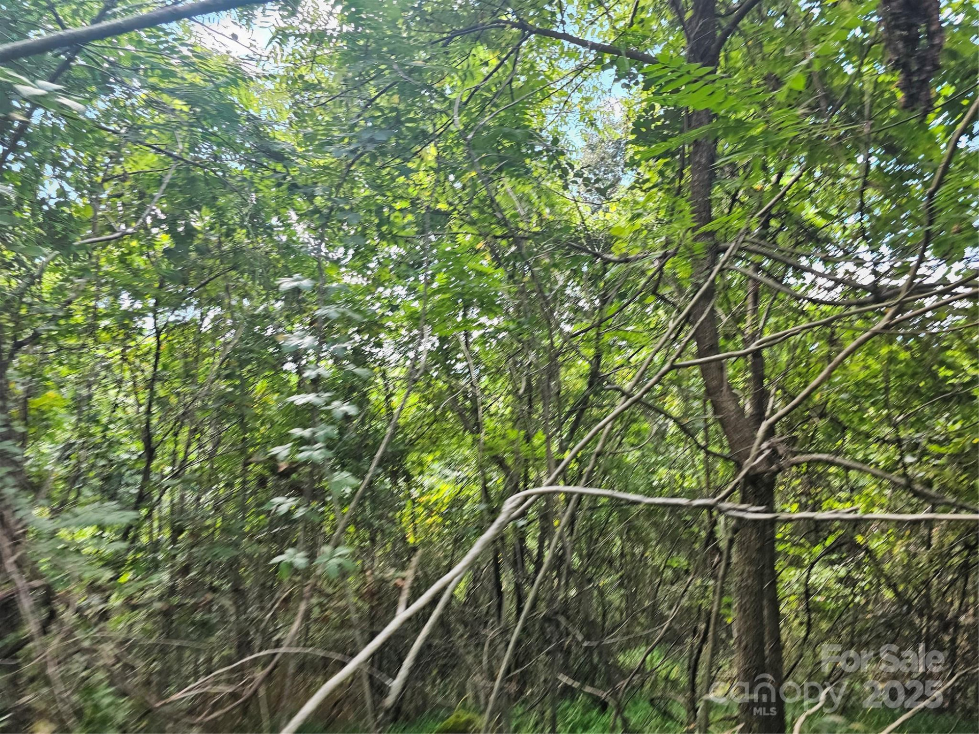 97 Destination Drive - Photo 11