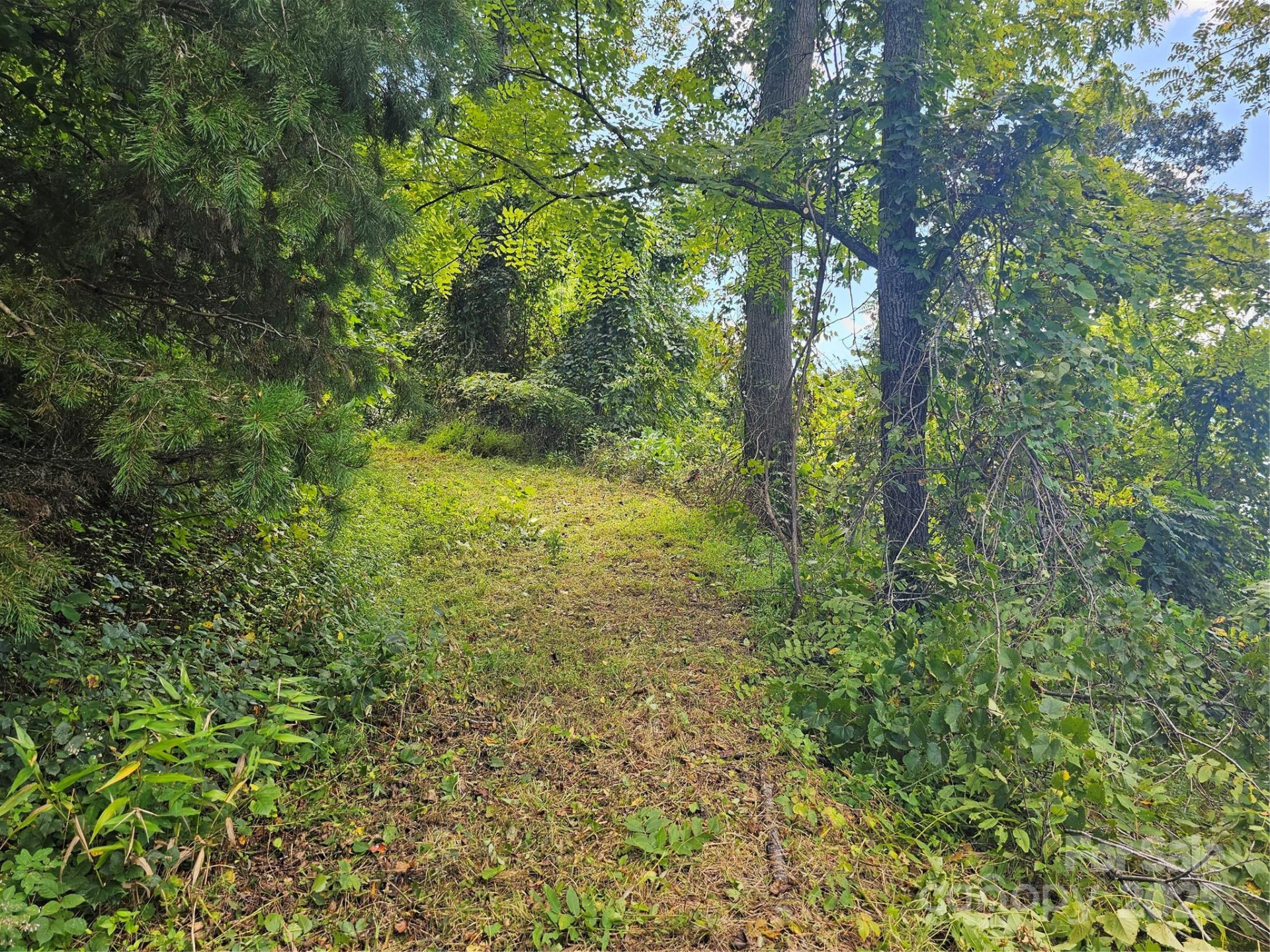 97 Destination Drive - Photo 13