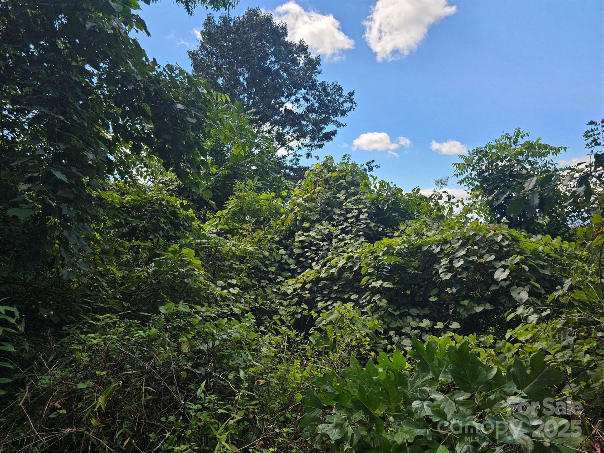 97 Destination Drive - Photo 14