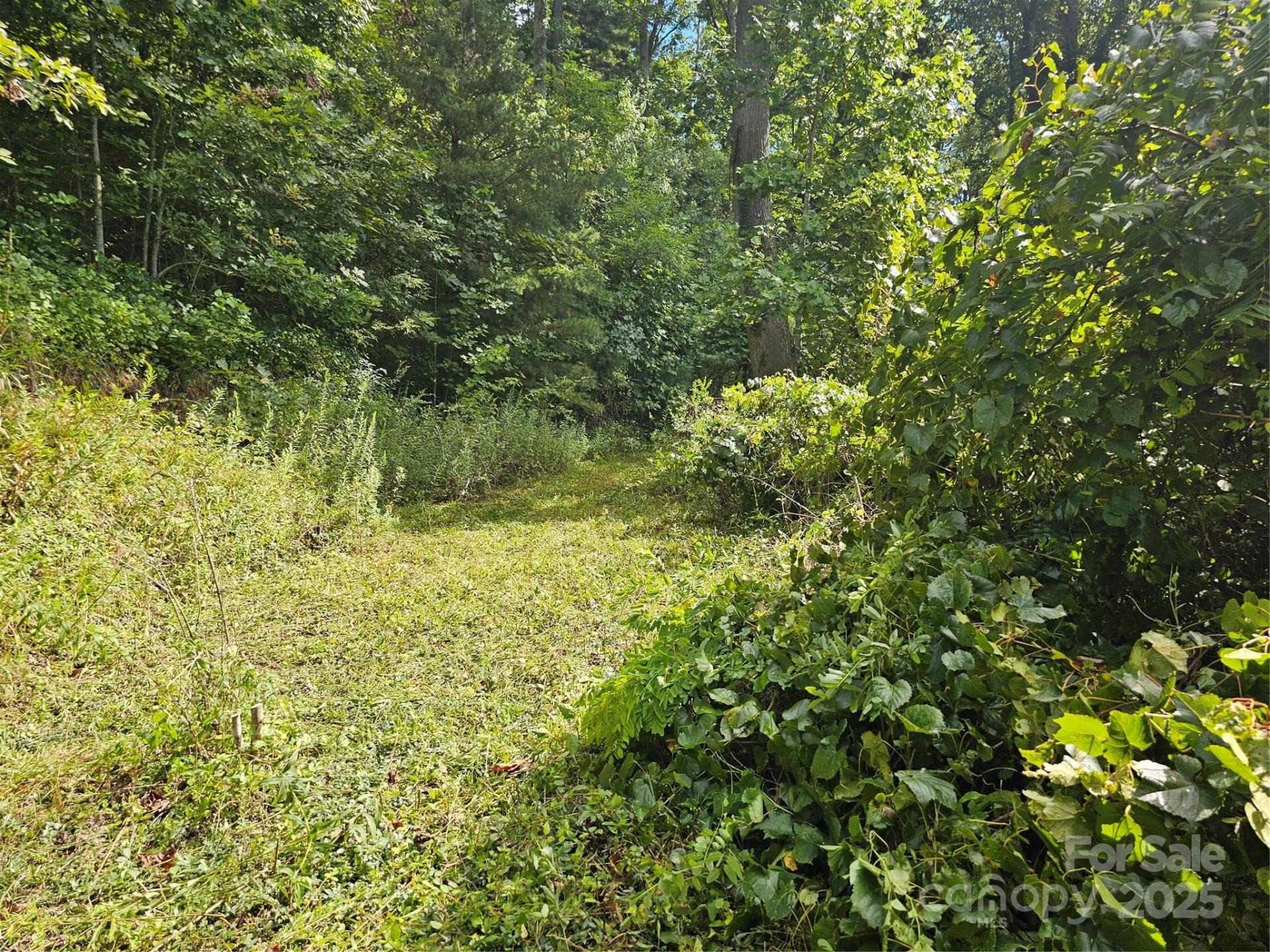 97 Destination Drive - Photo 15