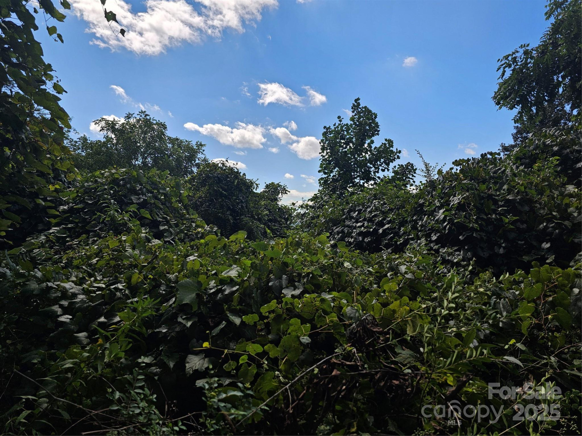 97 Destination Drive - Photo 16