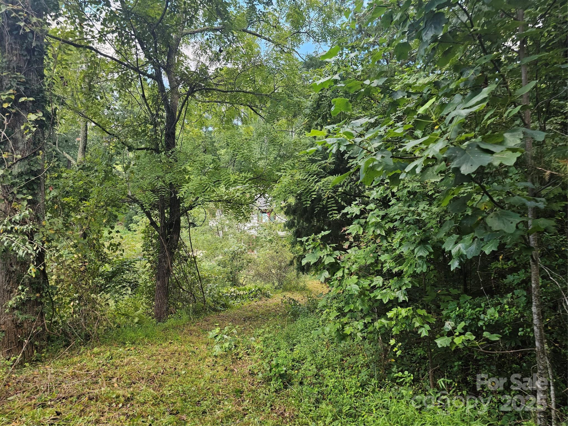 97 Destination Drive - Photo 17