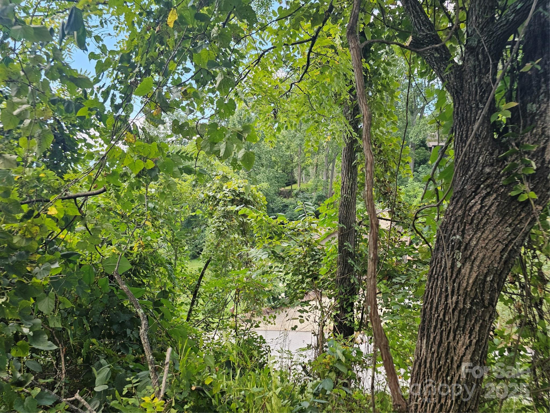 97 Destination Drive - Photo 18