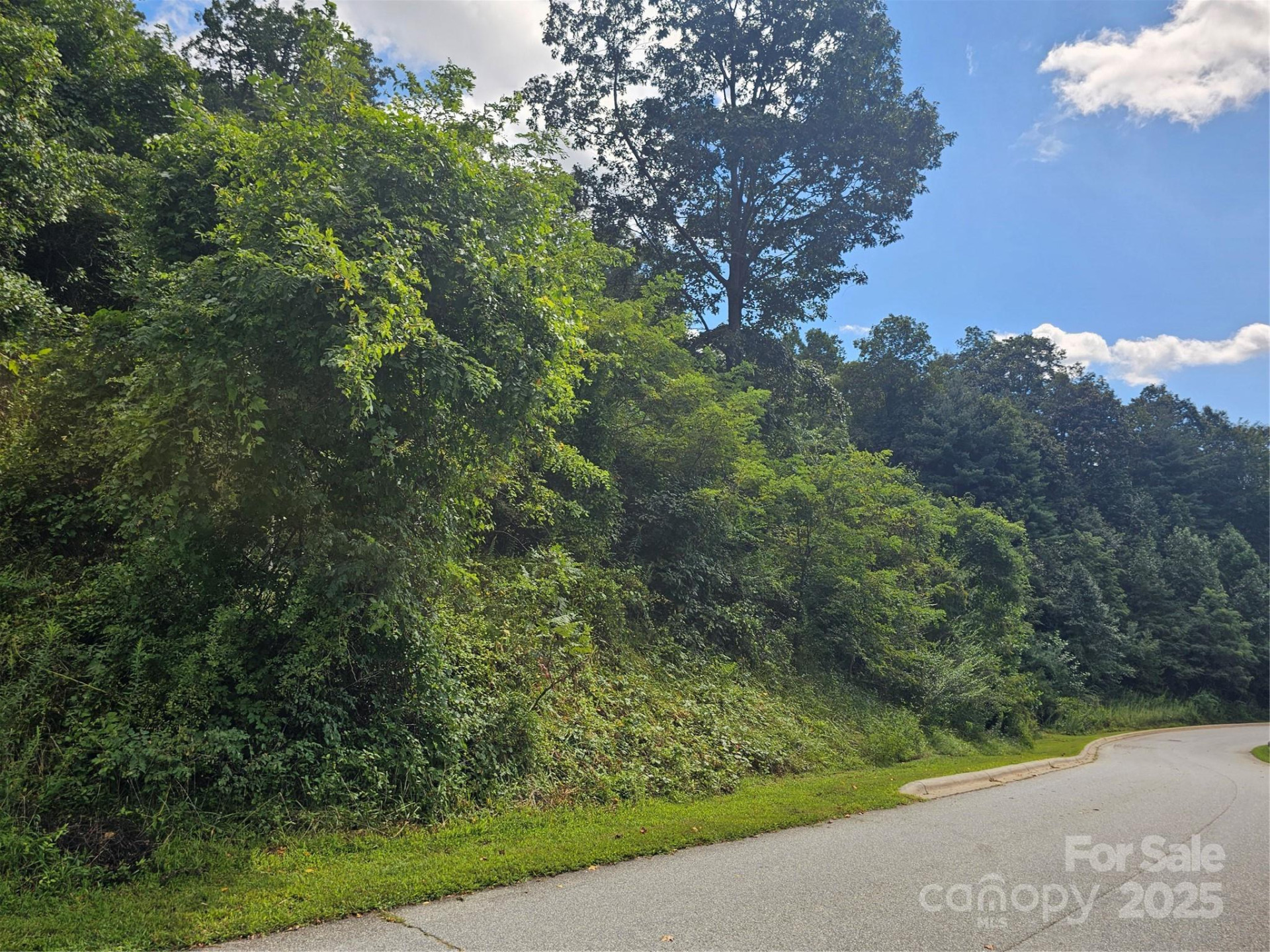 97 Destination Drive - Photo 19