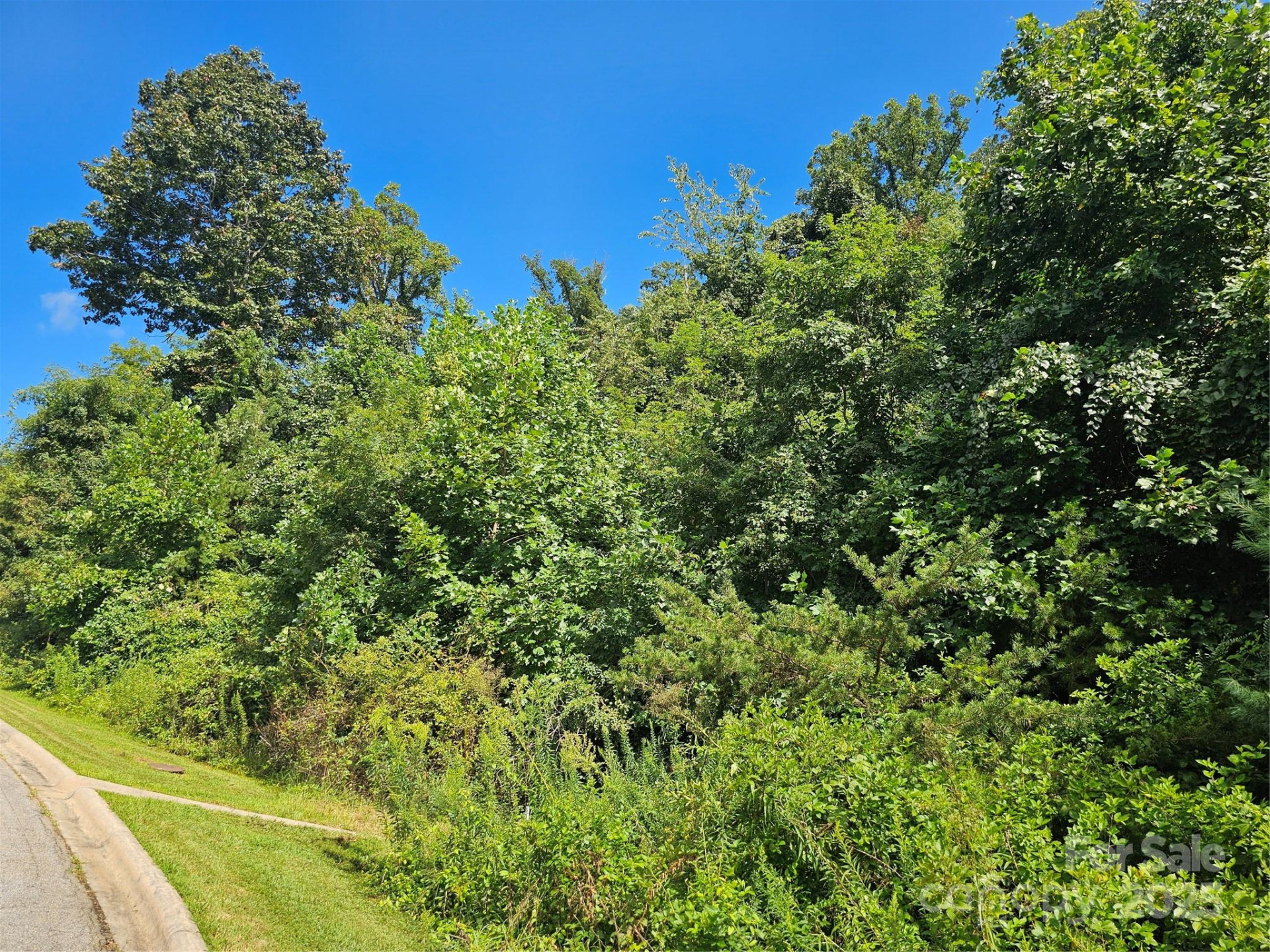 97 Destination Drive - Photo 23