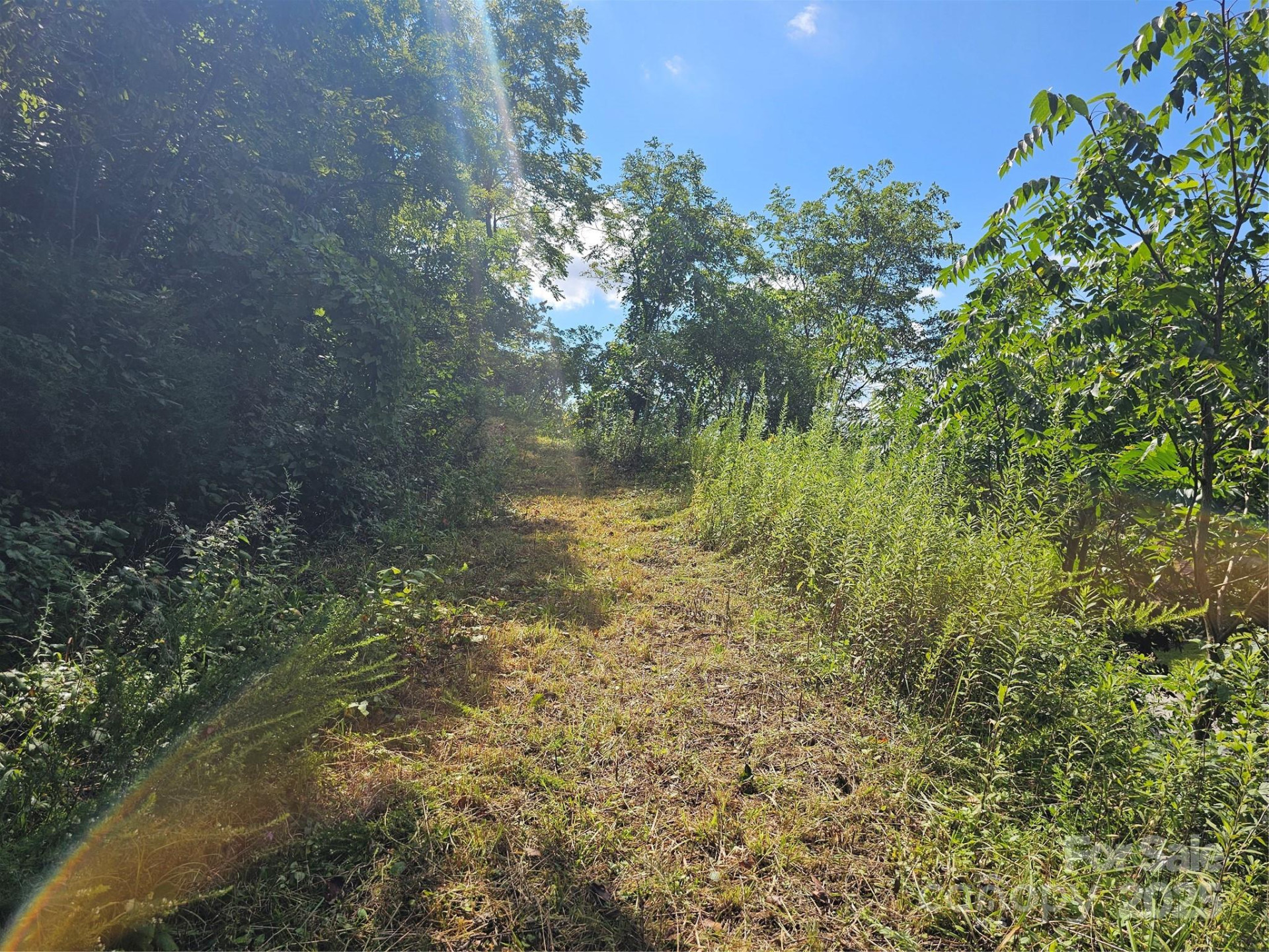 97 Destination Drive - Photo 24