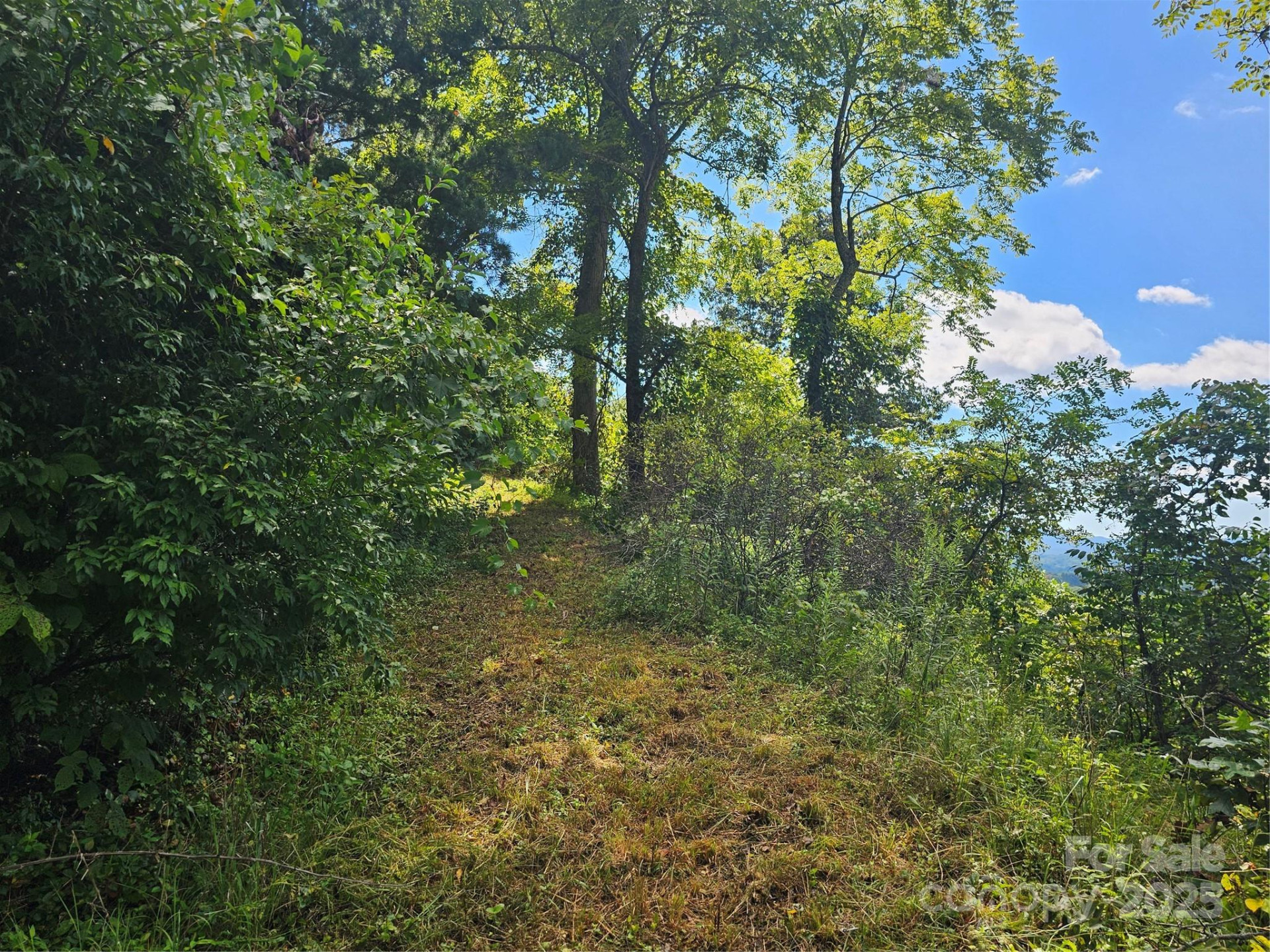 97 Destination Drive - Photo 26