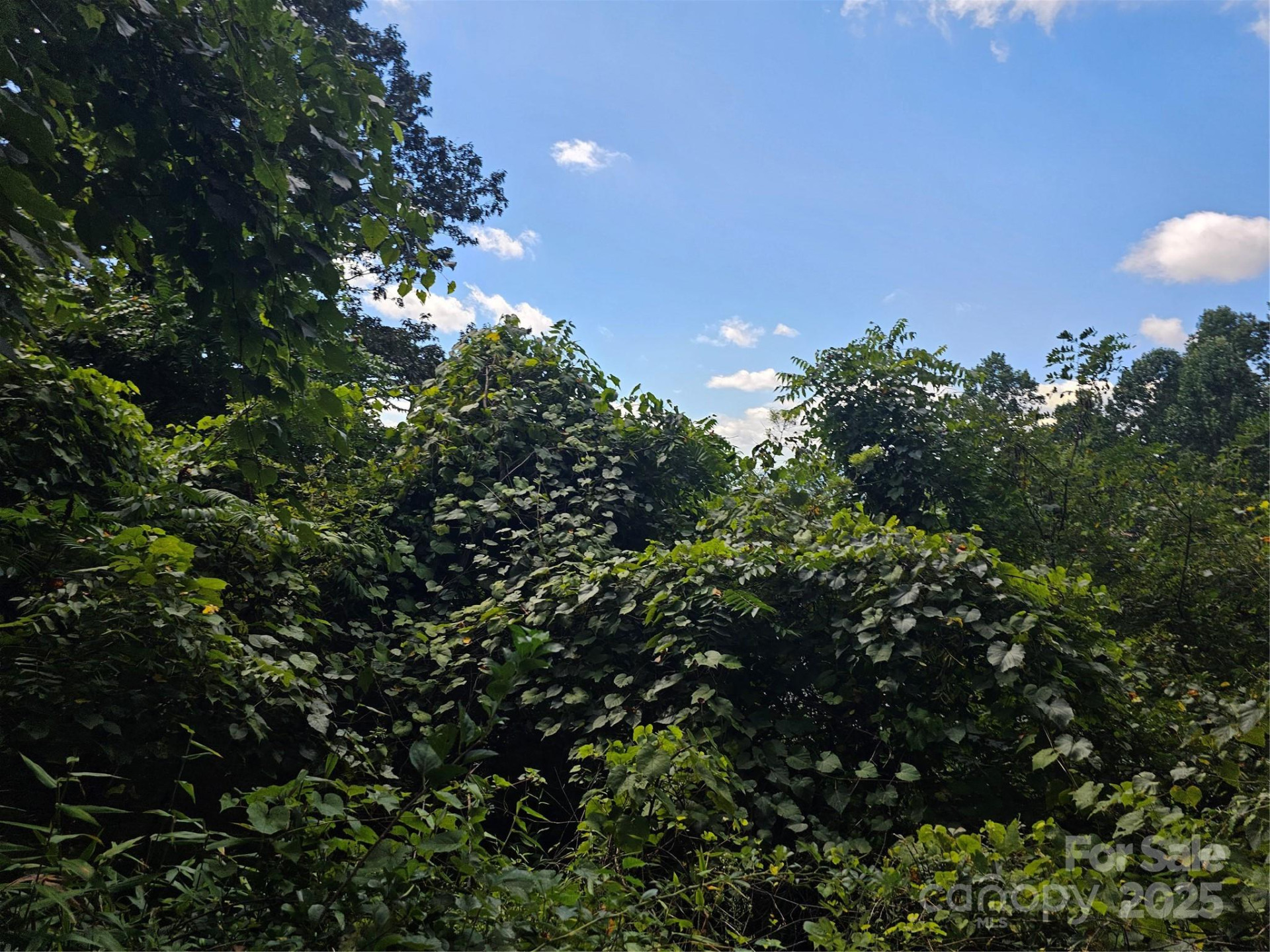 97 Destination Drive - Photo 28