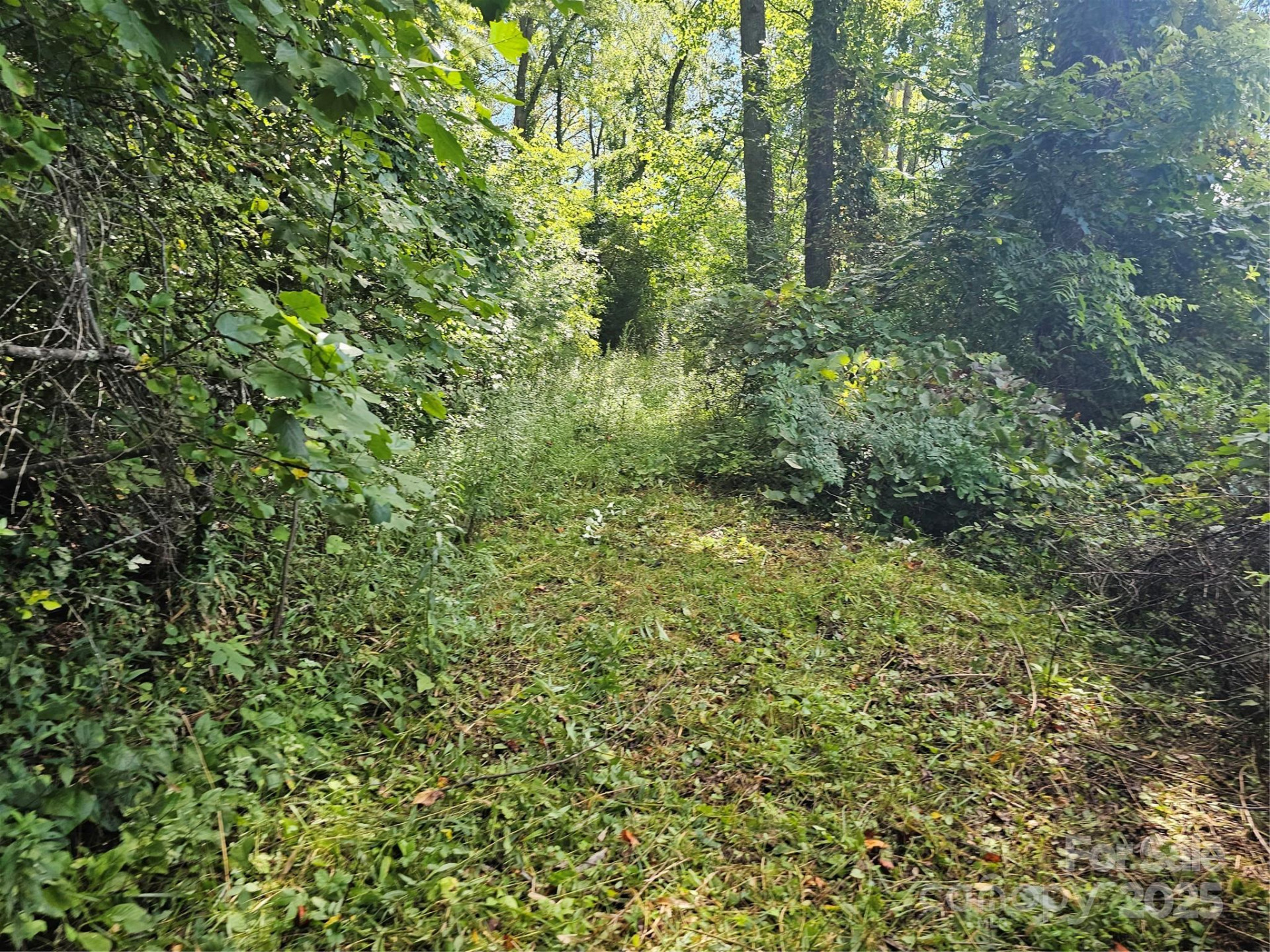 97 Destination Drive - Photo 4