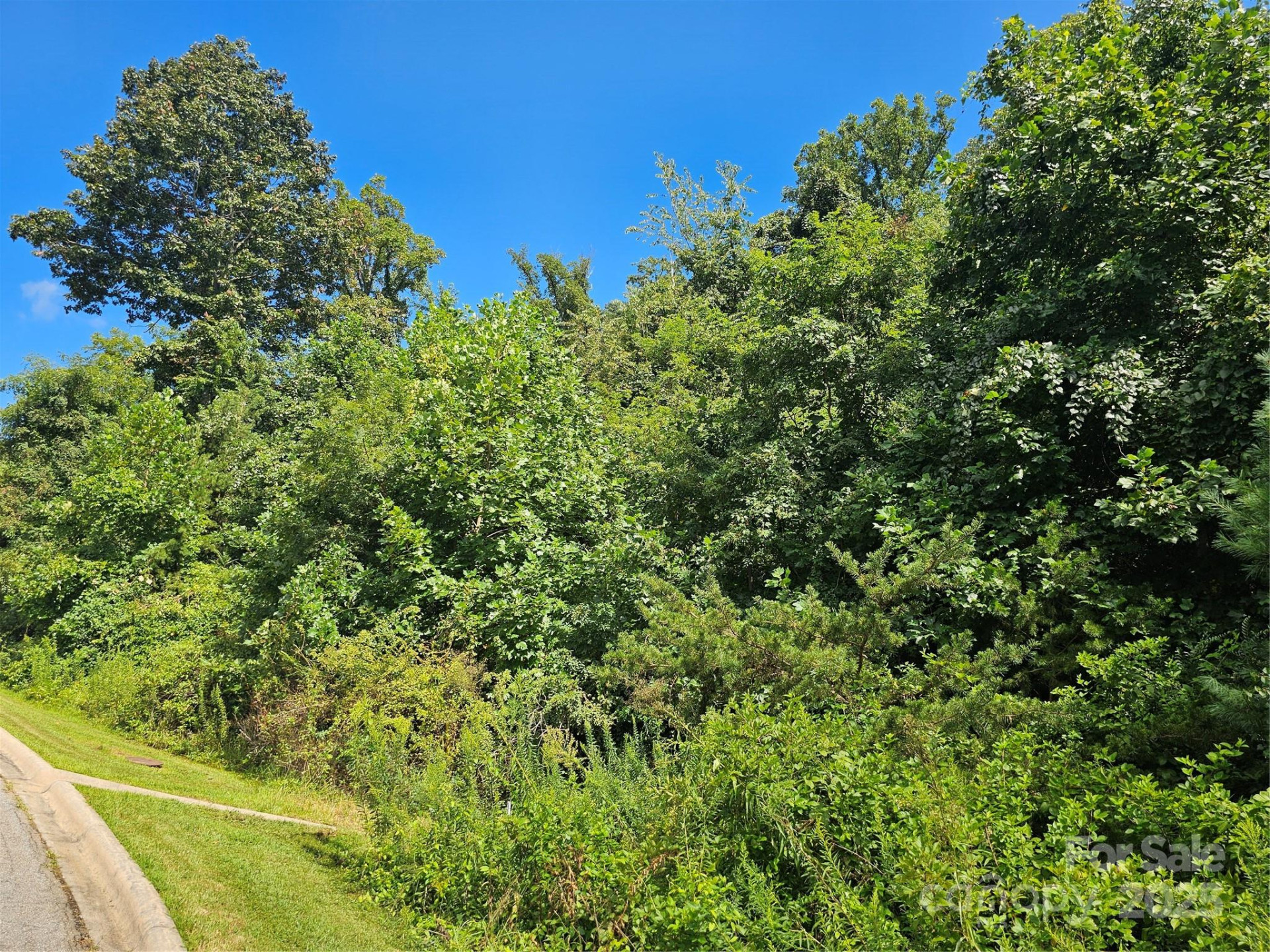 97 Destination Drive - Photo 31