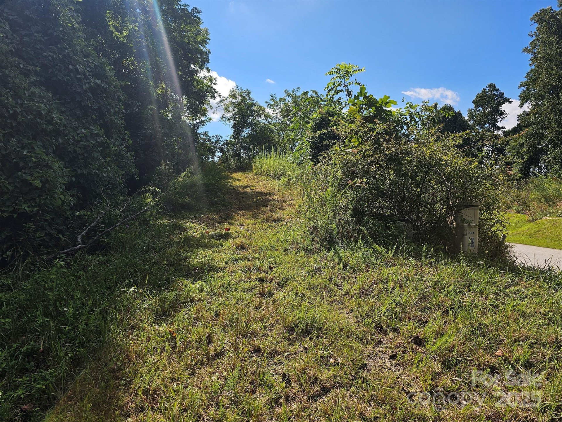 97 Destination Drive - Photo 33