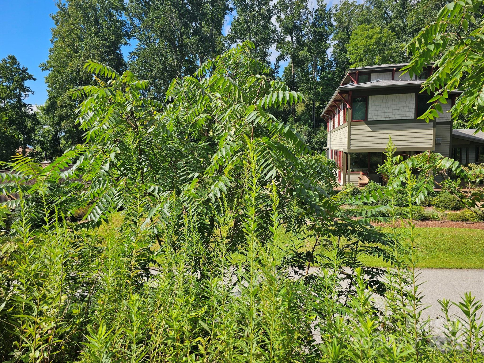 97 Destination Drive - Photo 34