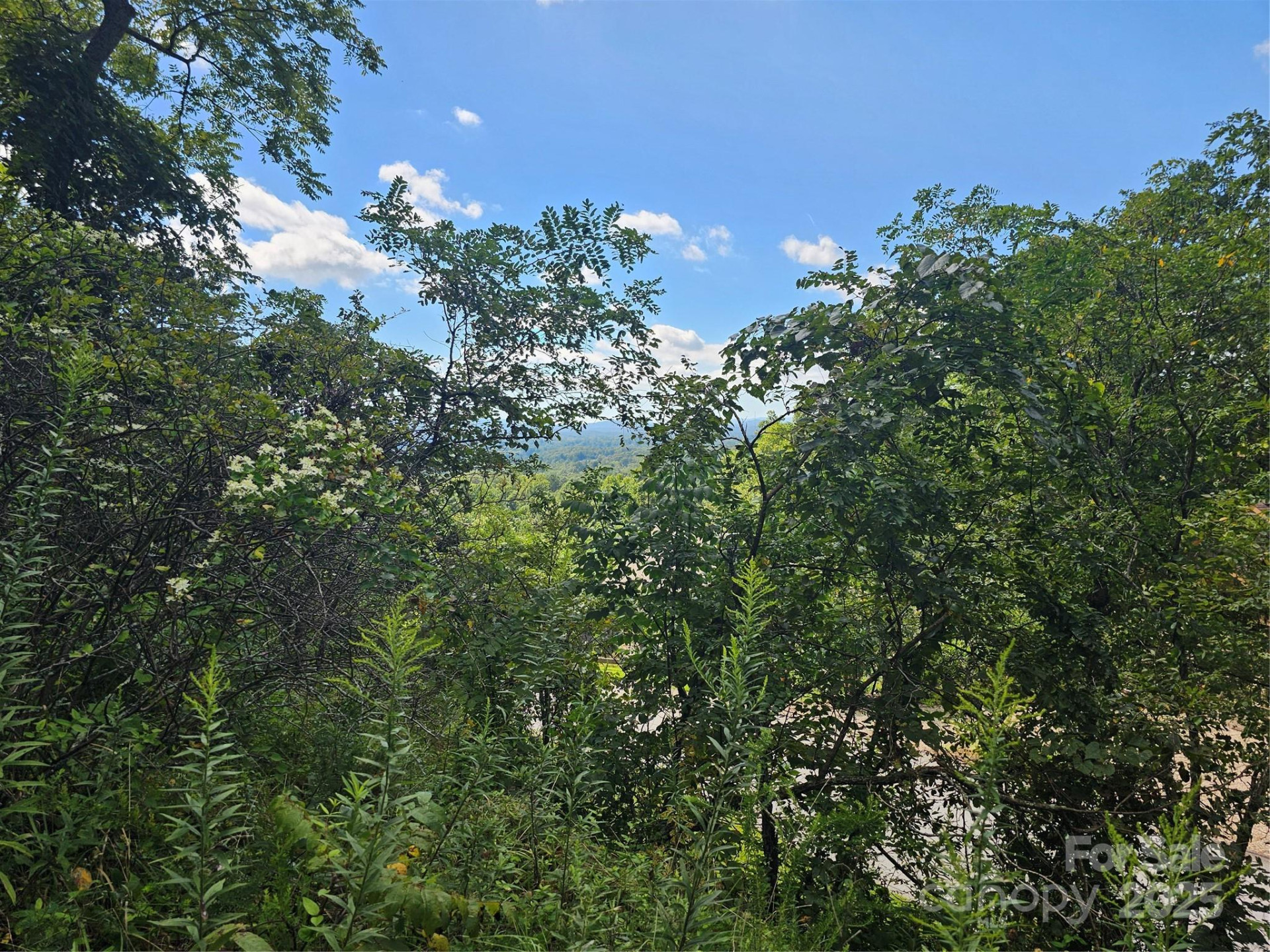 97 Destination Drive - Photo 35