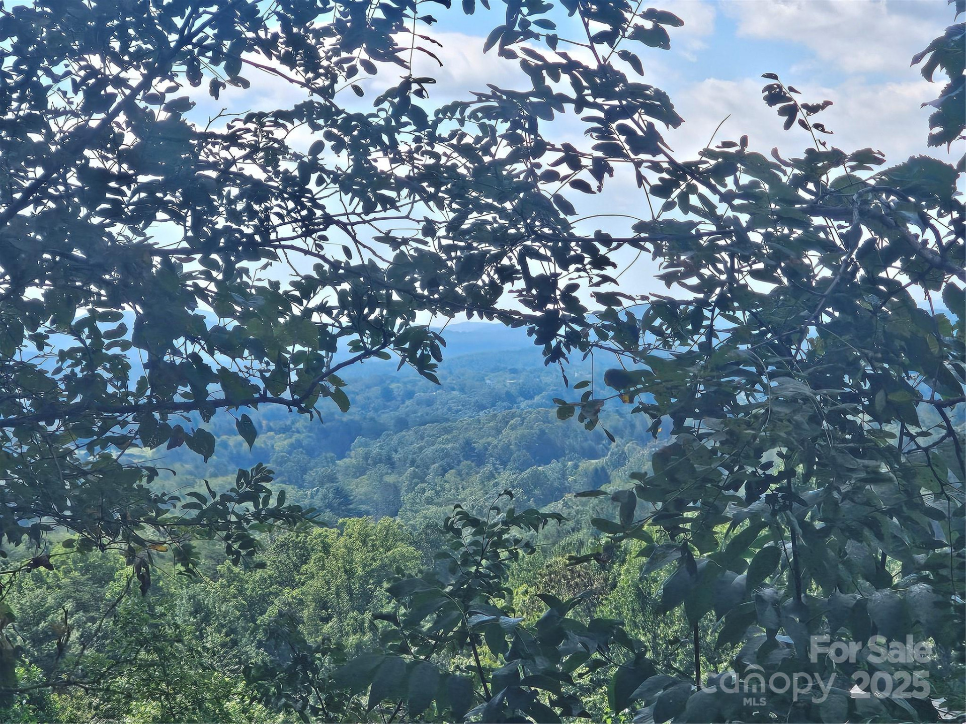 97 Destination Drive - Photo 36