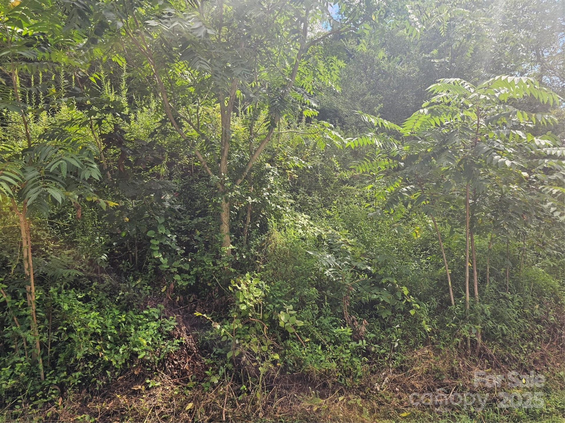 97 Destination Drive - Photo 38