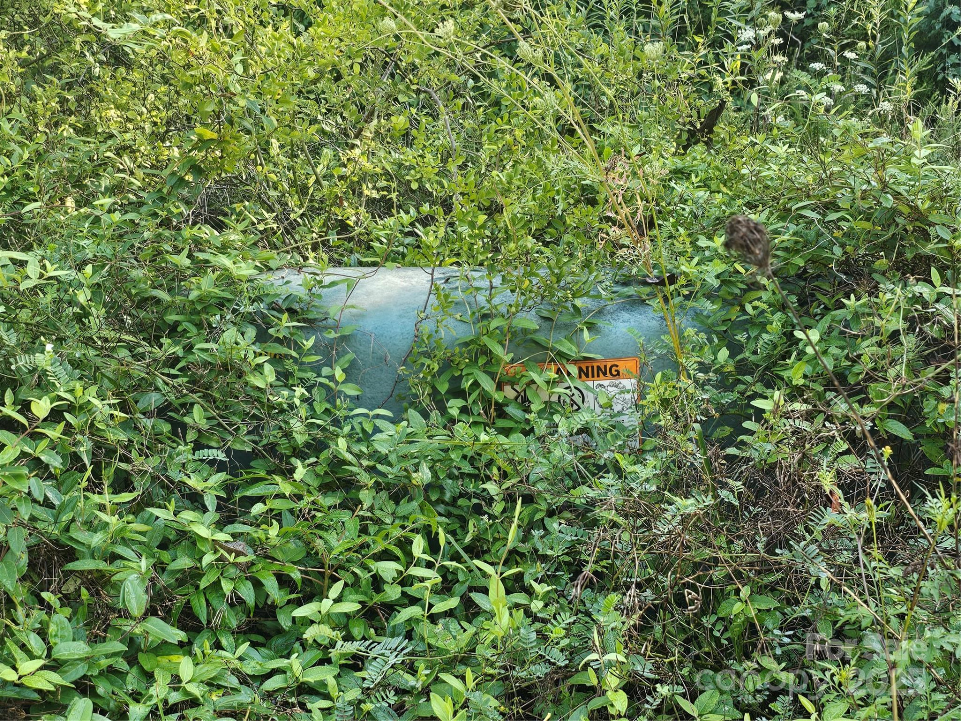 97 Destination Drive - Photo 40