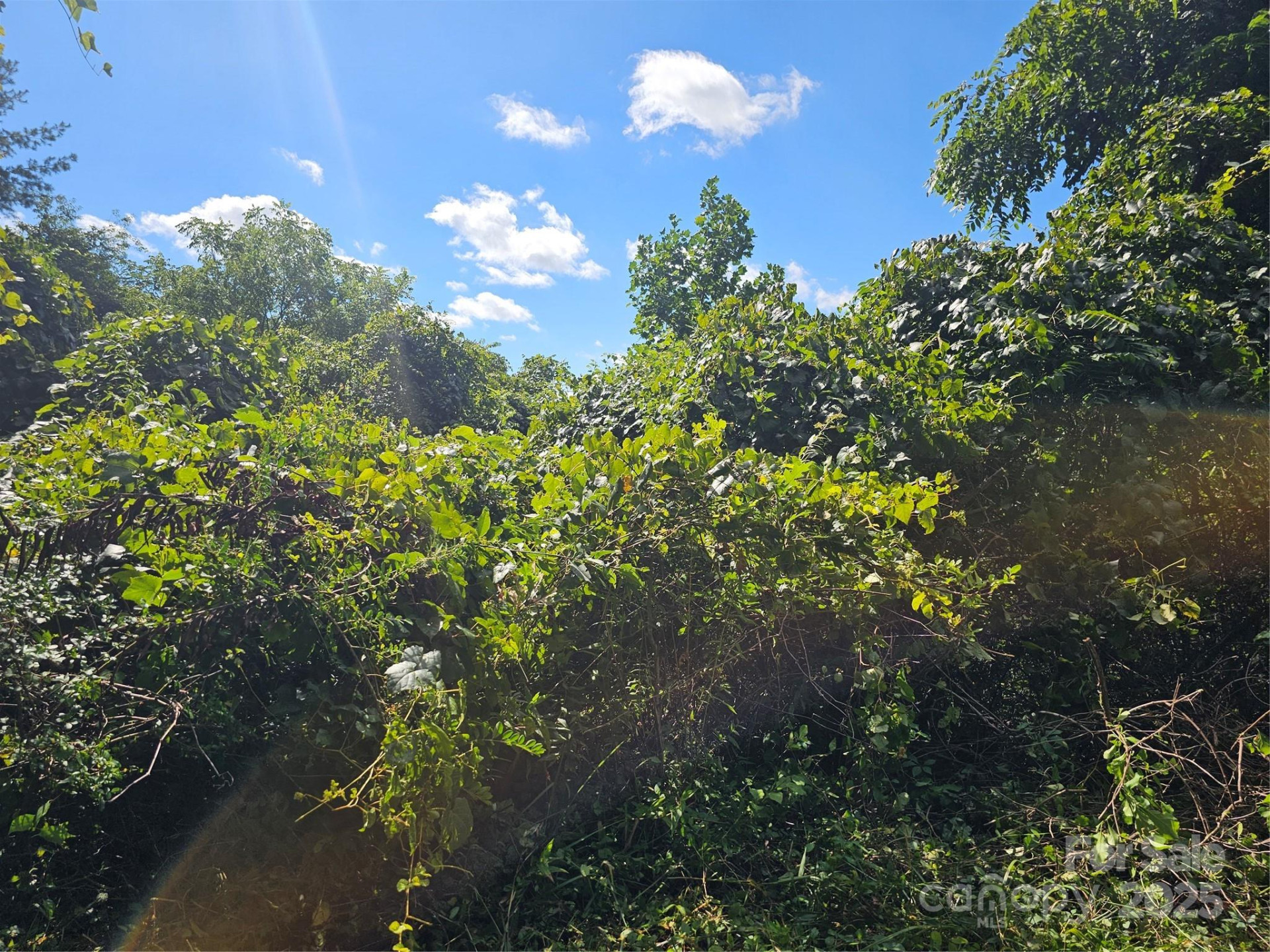 97 Destination Drive - Photo 6