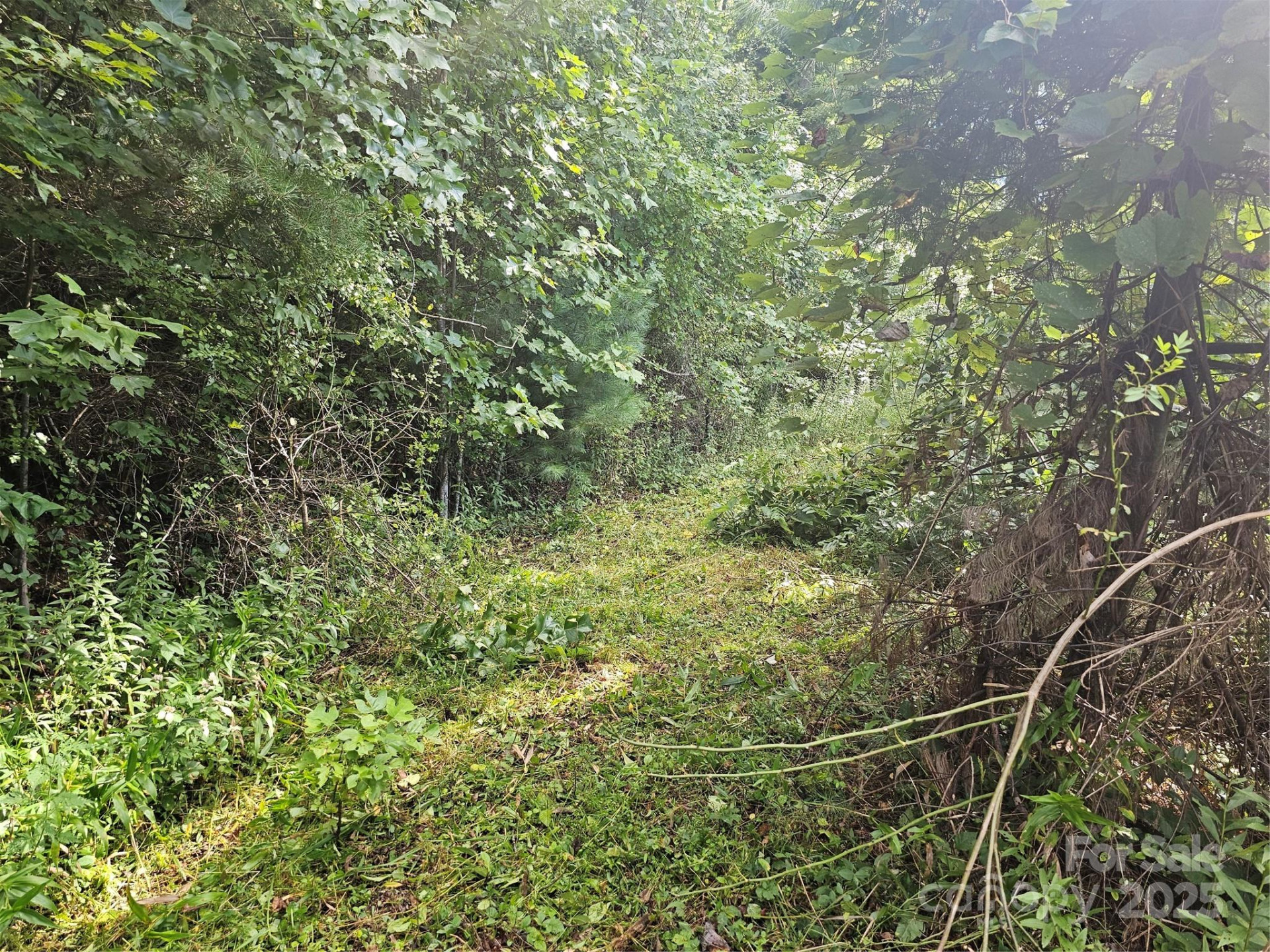 97 Destination Drive - Photo 7