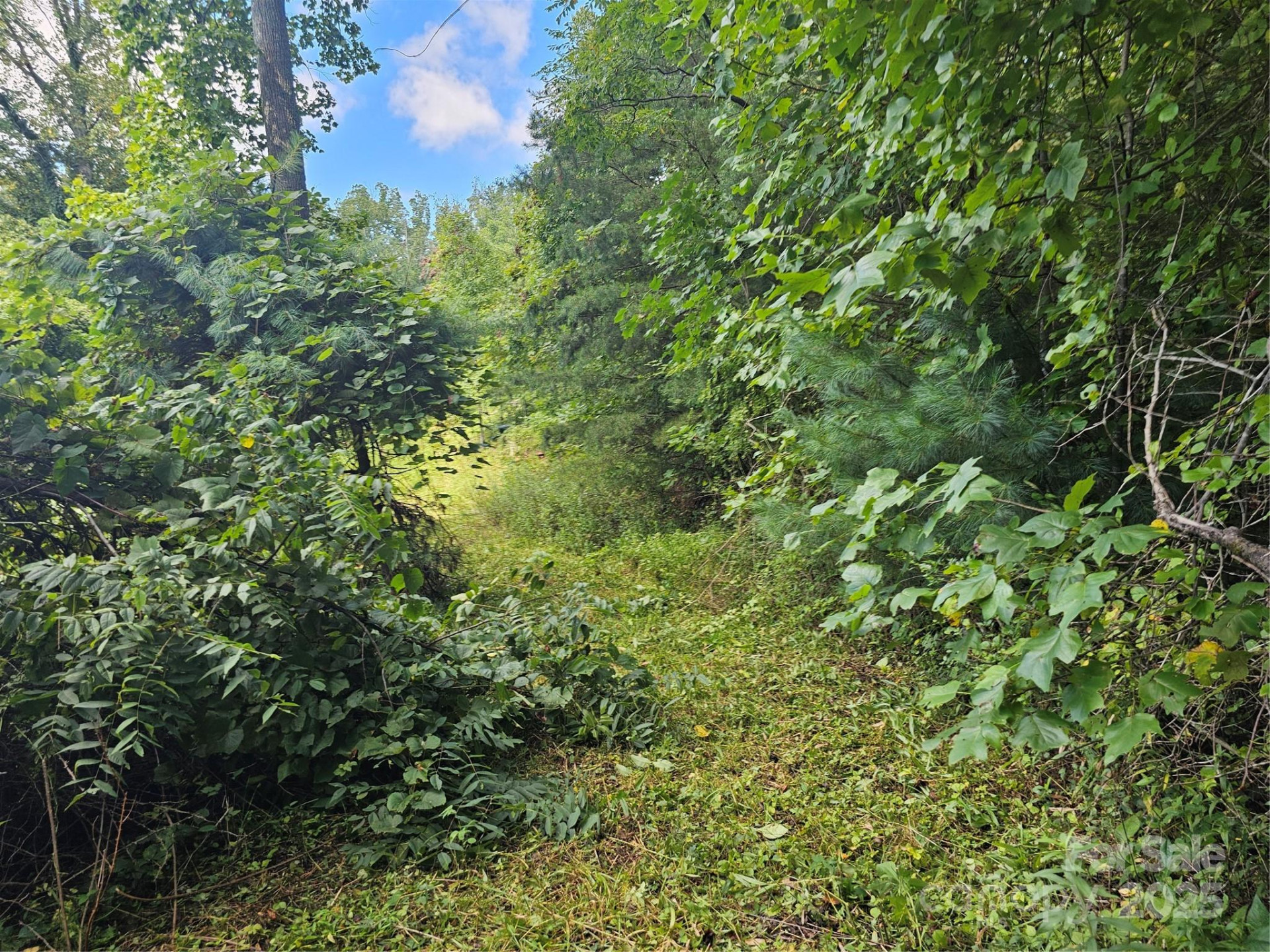 97 Destination Drive - Photo 8