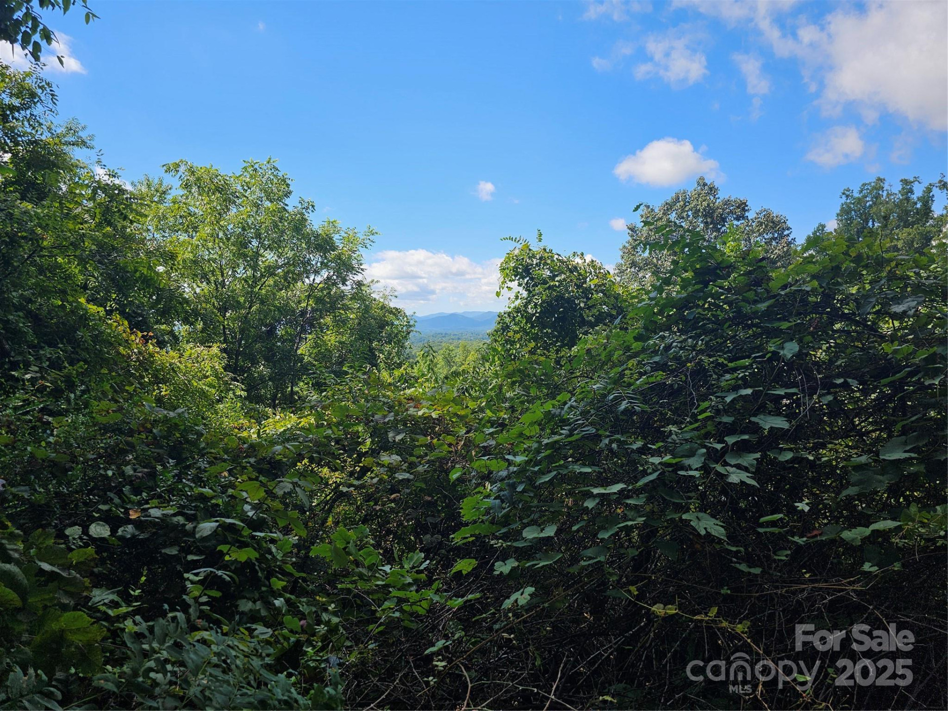 97 Destination Drive - Photo 9