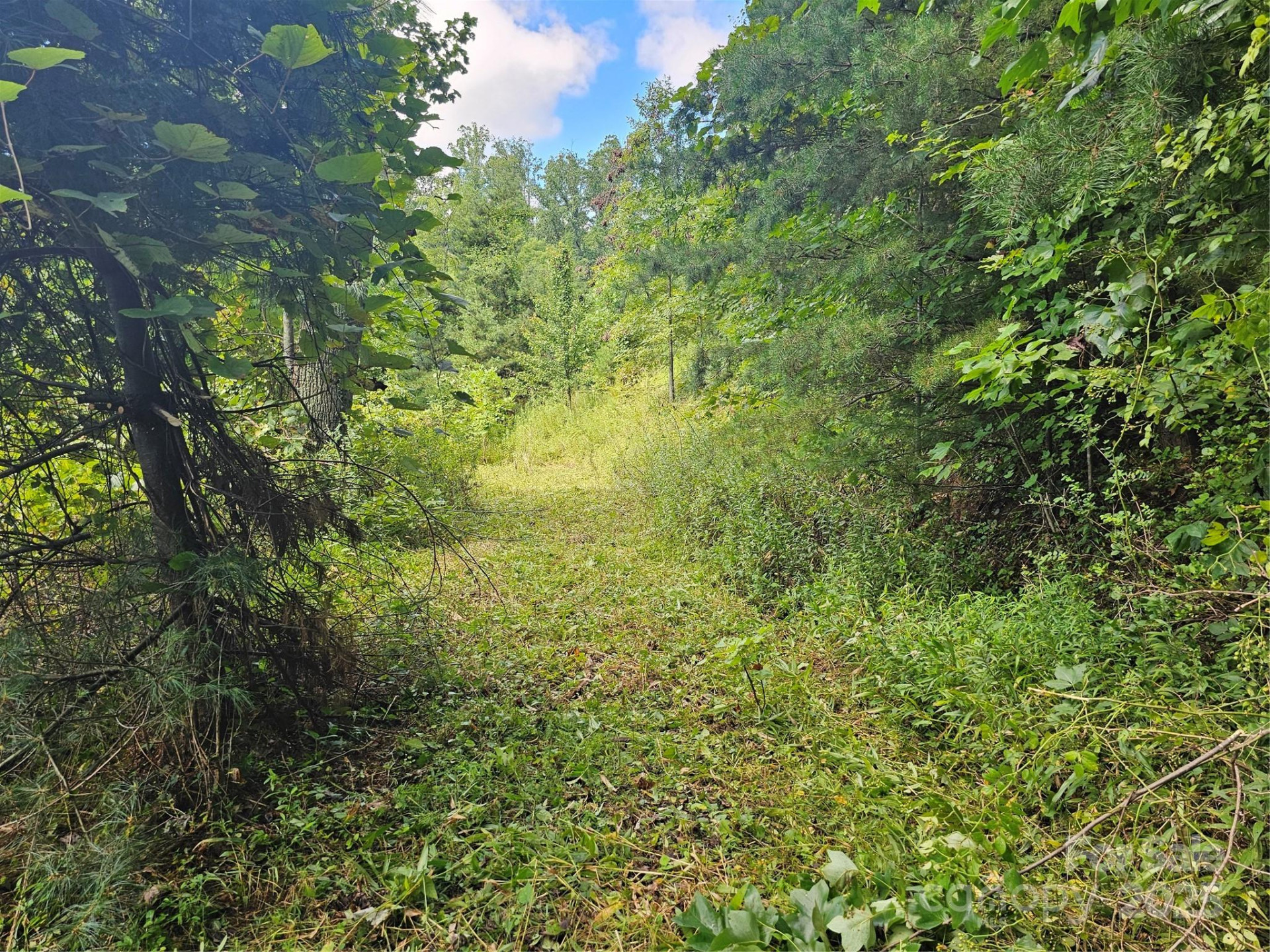 97 Destination Drive - Photo 10